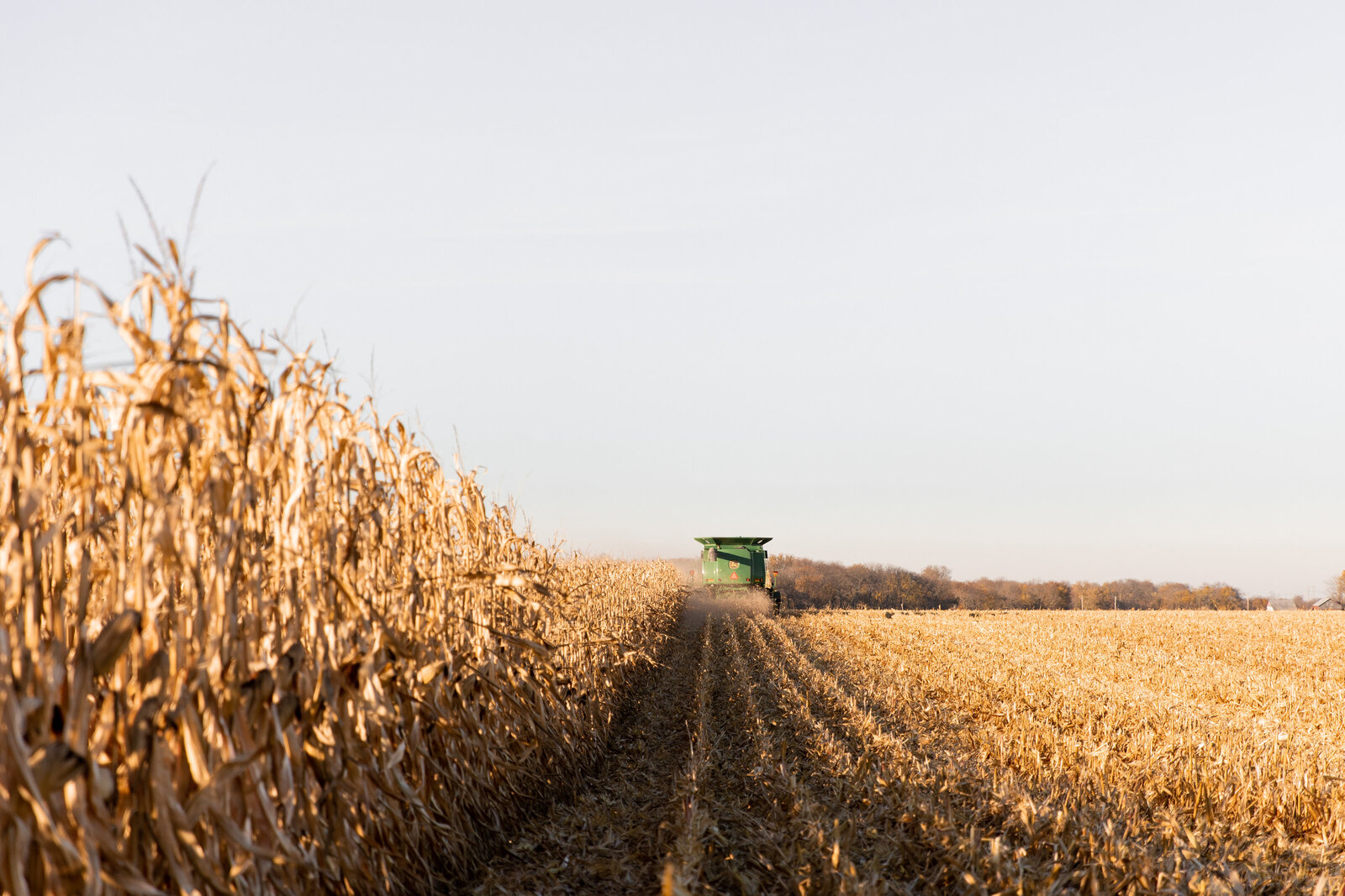 Farm-33