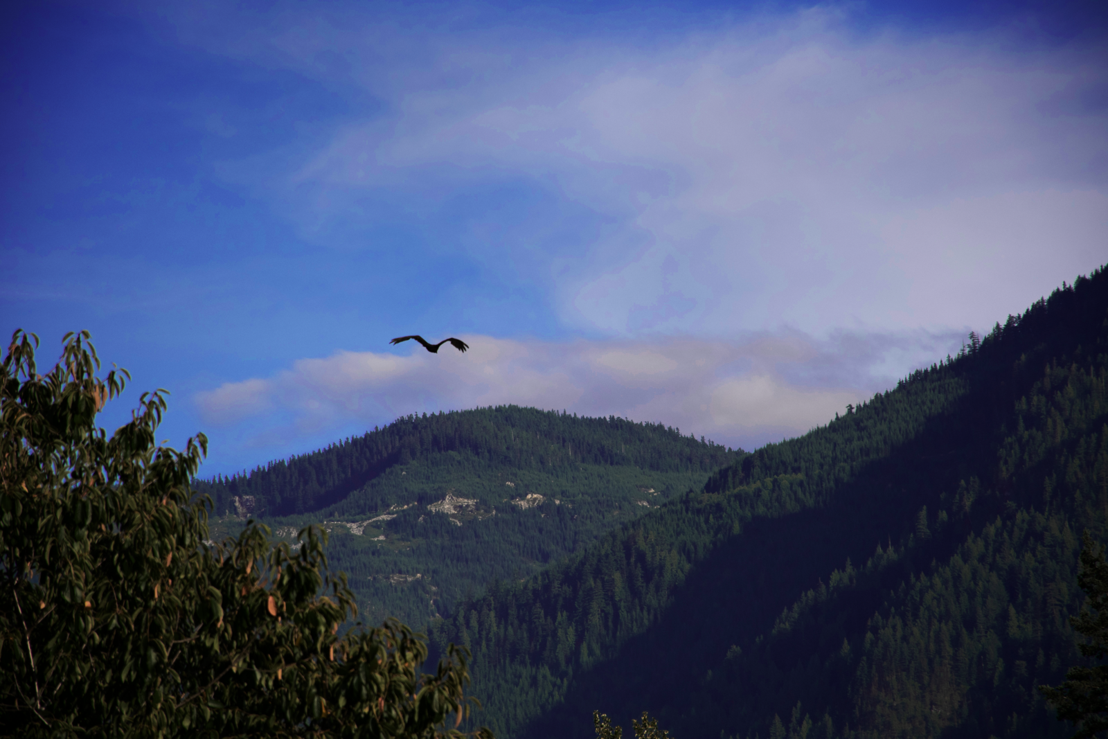 eagle_mountain