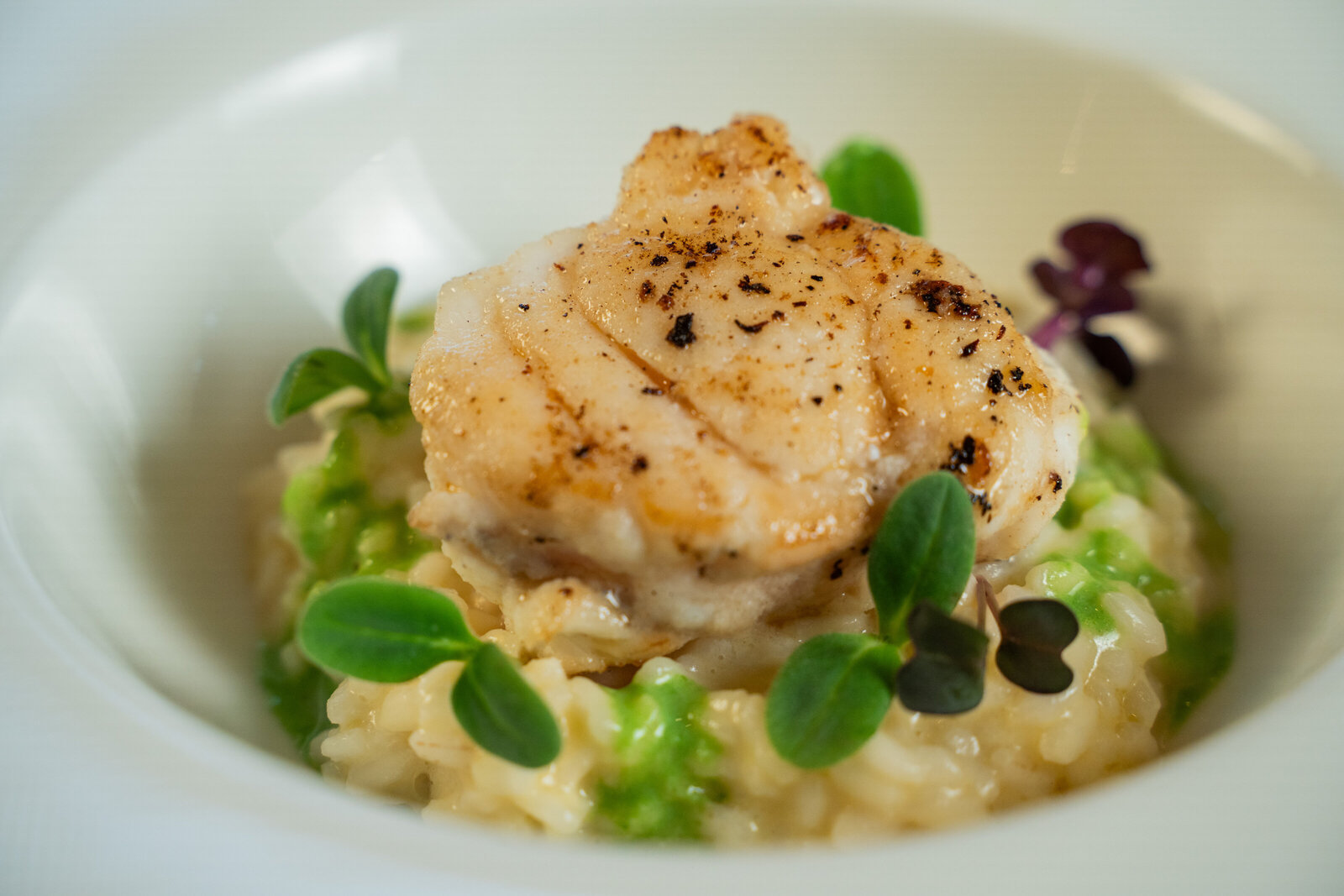 GutAltholz_CateringShooting-175