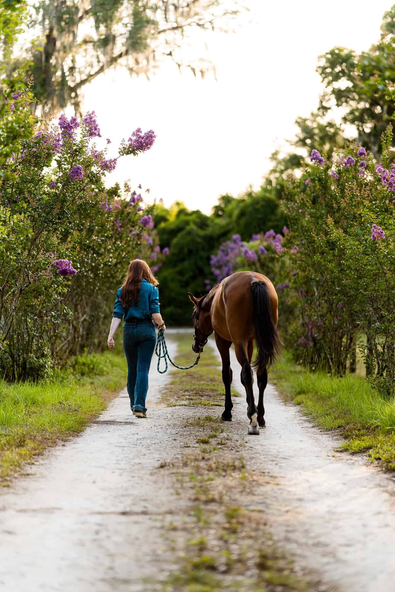 Equestrian Event Photography