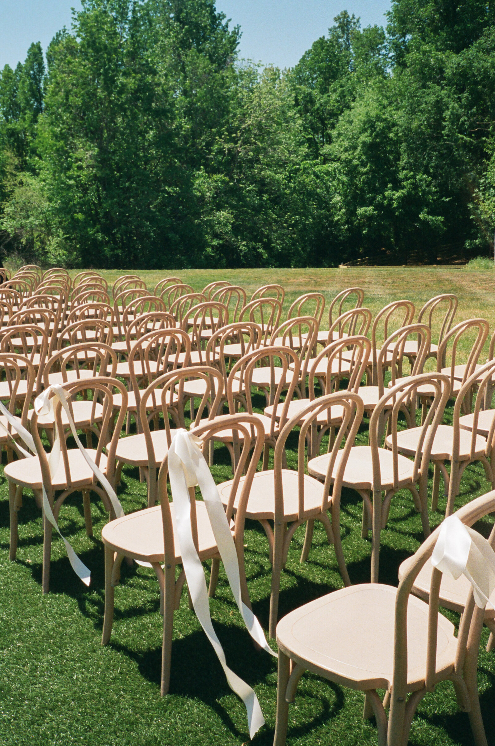Charlotte-film-wedding-photography-2