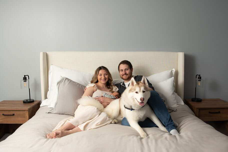 Rochester Hills in-home newborn photo session in the master bedroom with dog