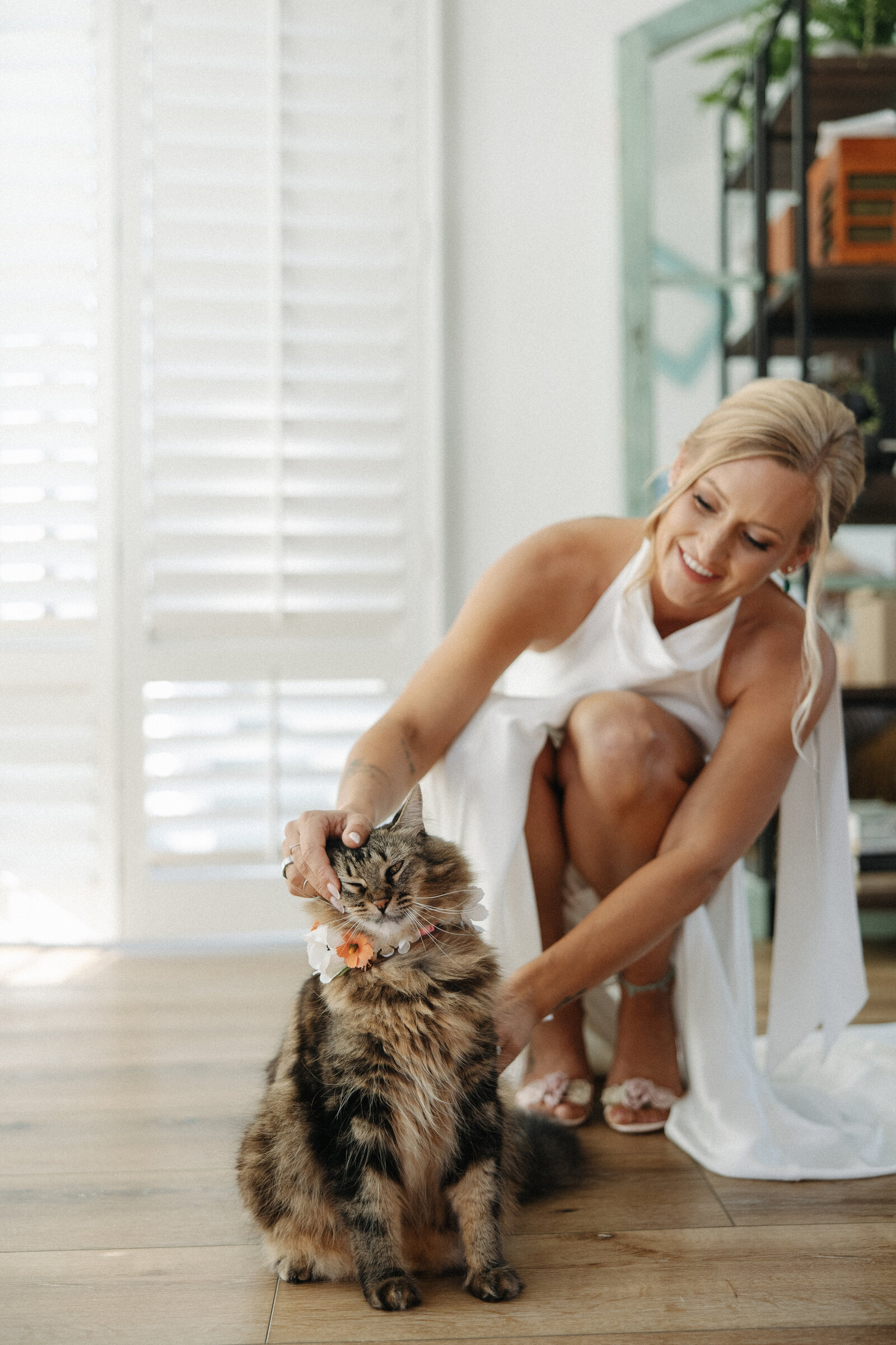 bride with a cat, weddings with pets