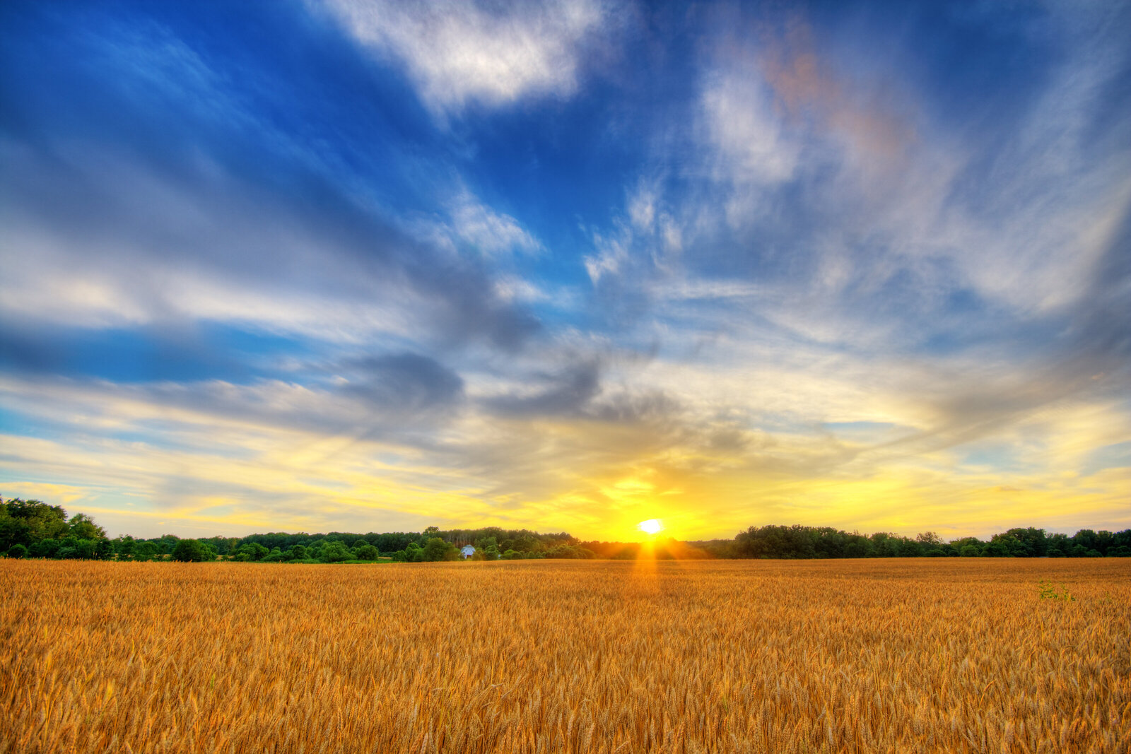 Sunset over a field