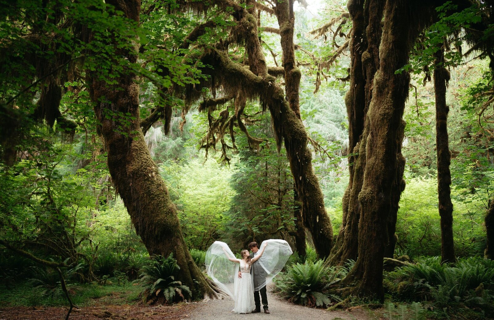 Olympic National Park Elopement in Hoh Rainforest: Groom holds bride as her beautiful dress flows in the wind 