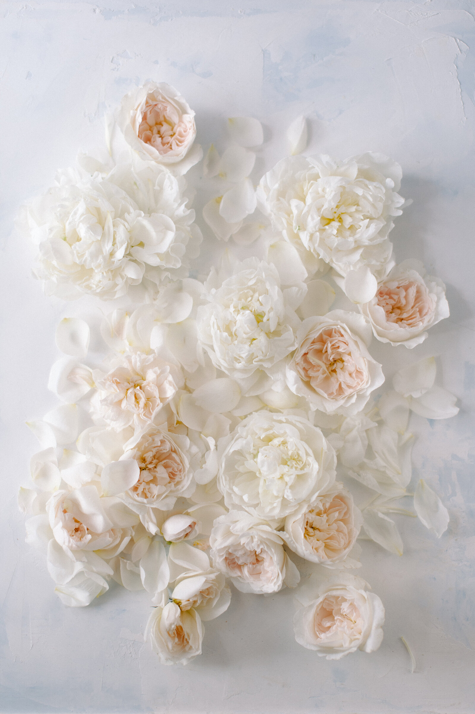 Sera Petras Photography_Elissa + Jamie_w-1222