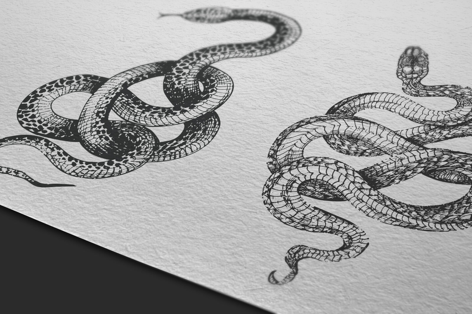 EN-Snake-art-mockup
