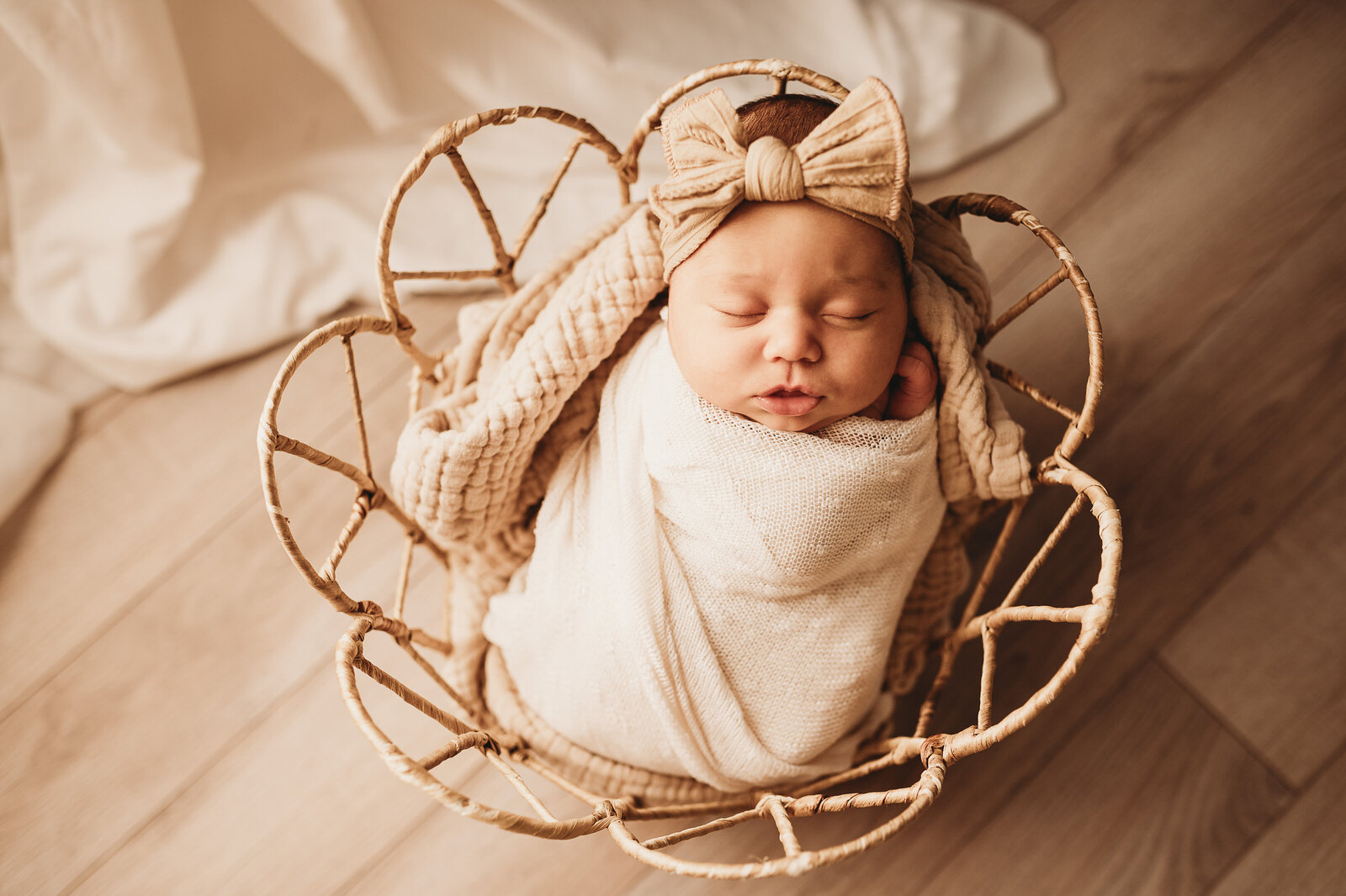 bruner-newborn-bismarck-studio-53