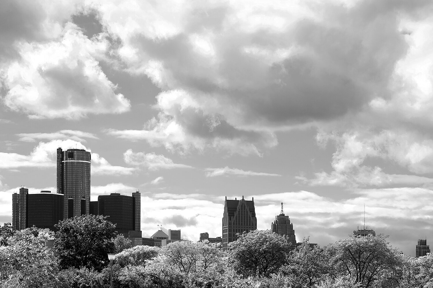 sharp-oldaugh100bw