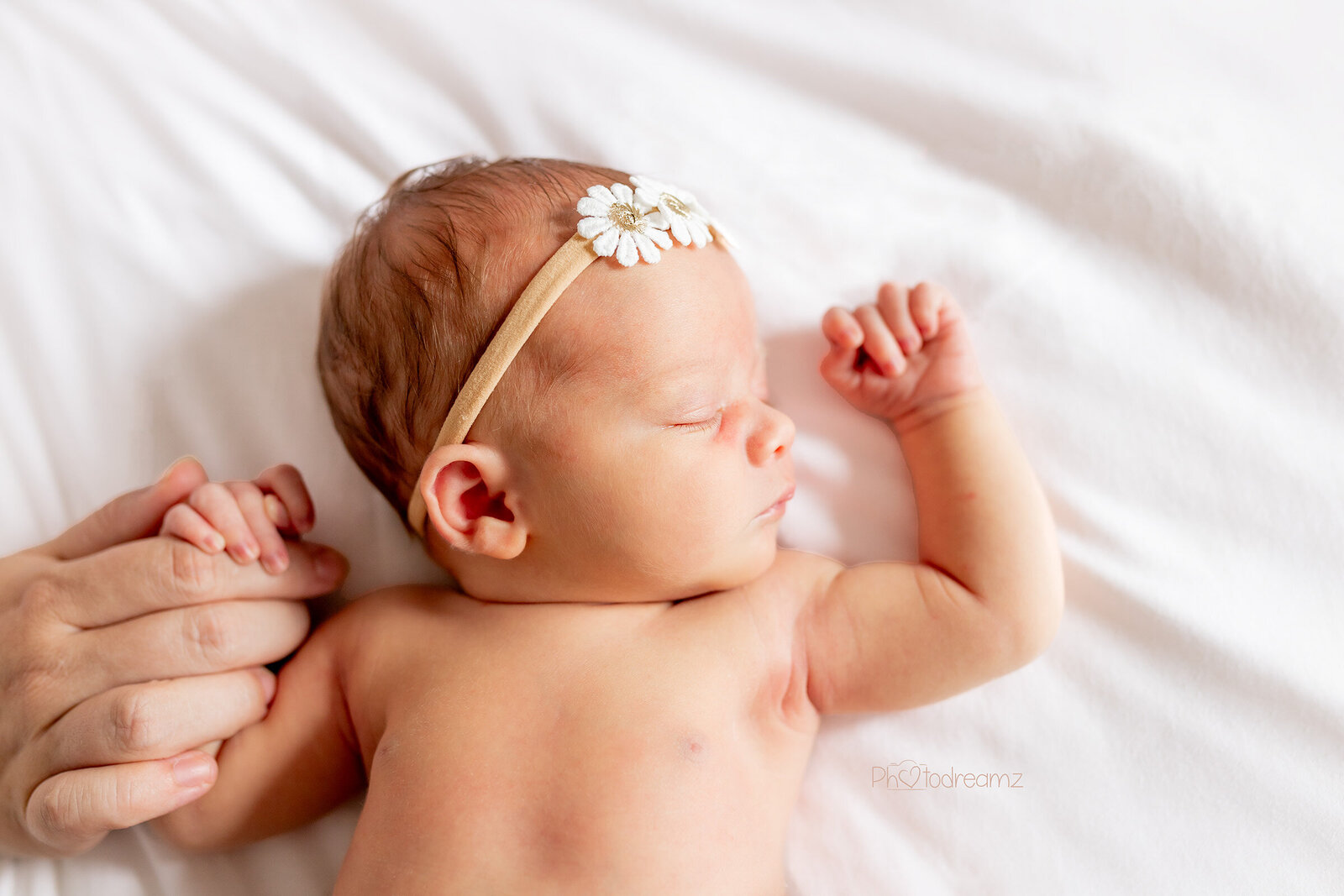 Lifestylenewborn_laurie4