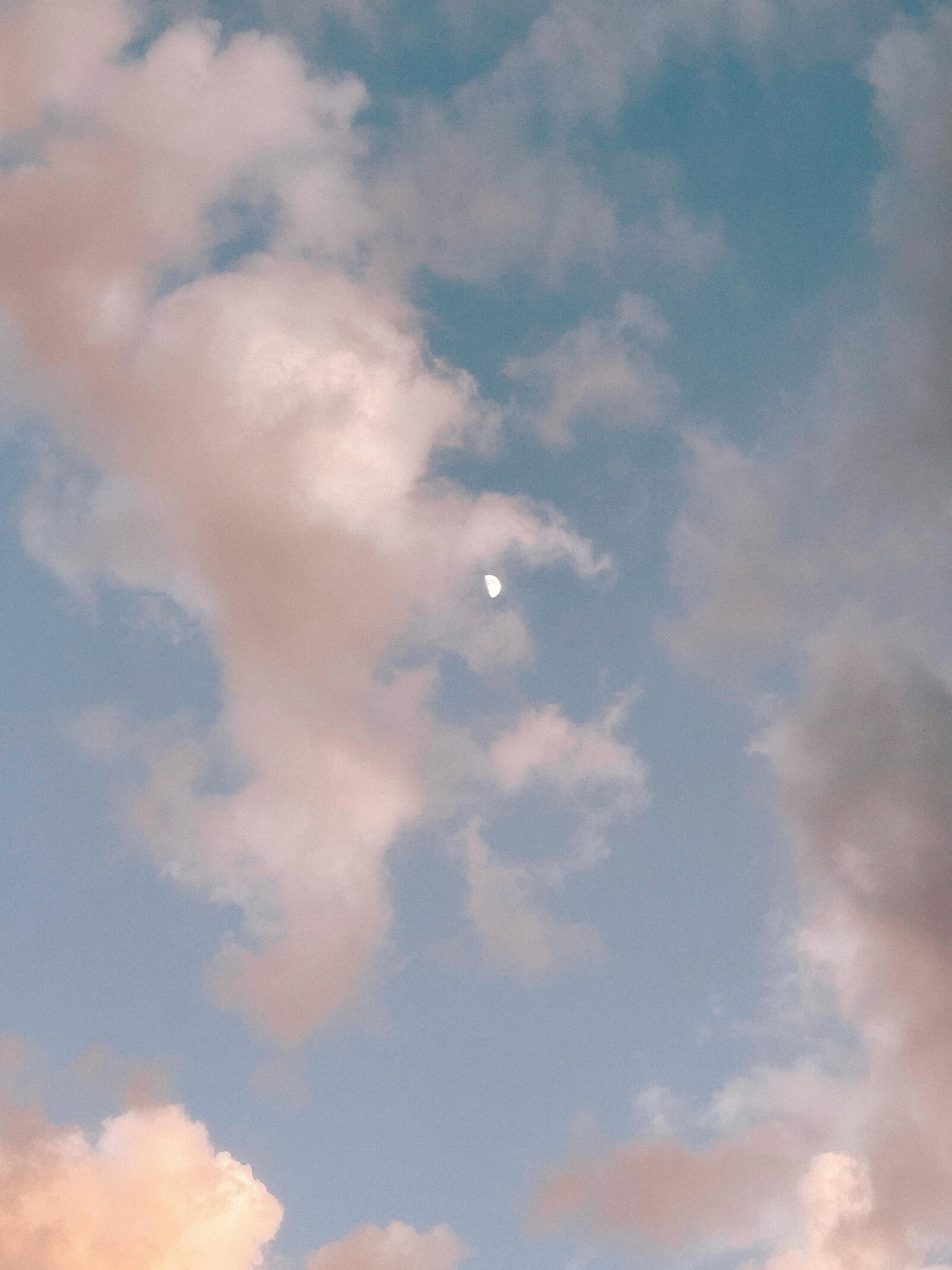 pexels-lany-17020740