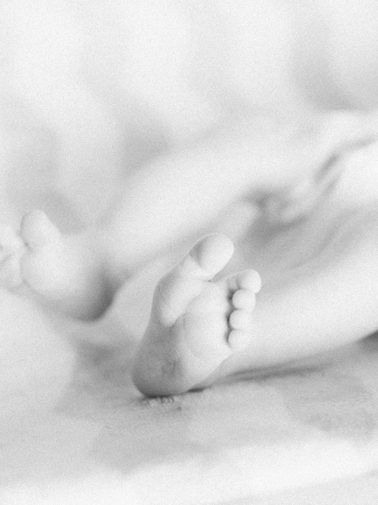 newborn_lifestyle_photography_waterloo4