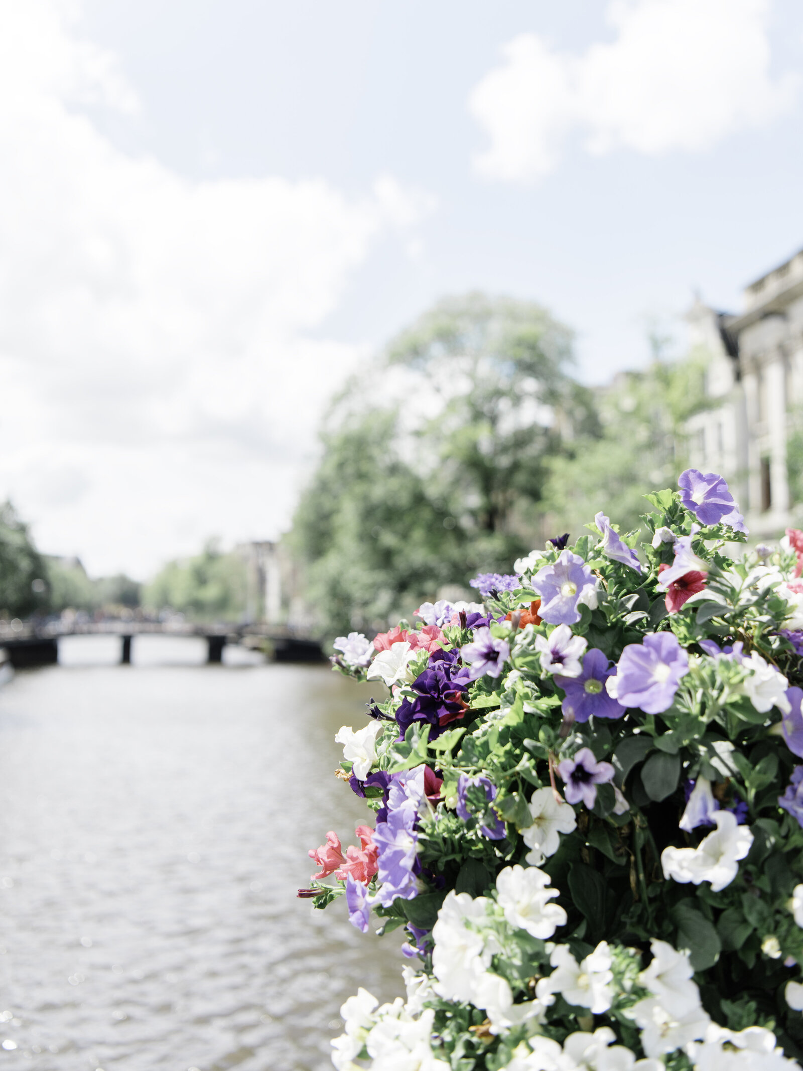 AmsterdamFlowers