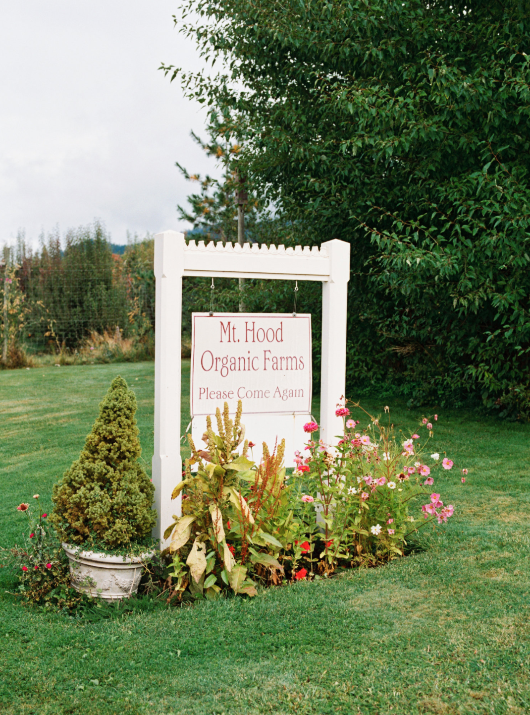 Screen Shot 2020-12-20 at 11.58.50 AM