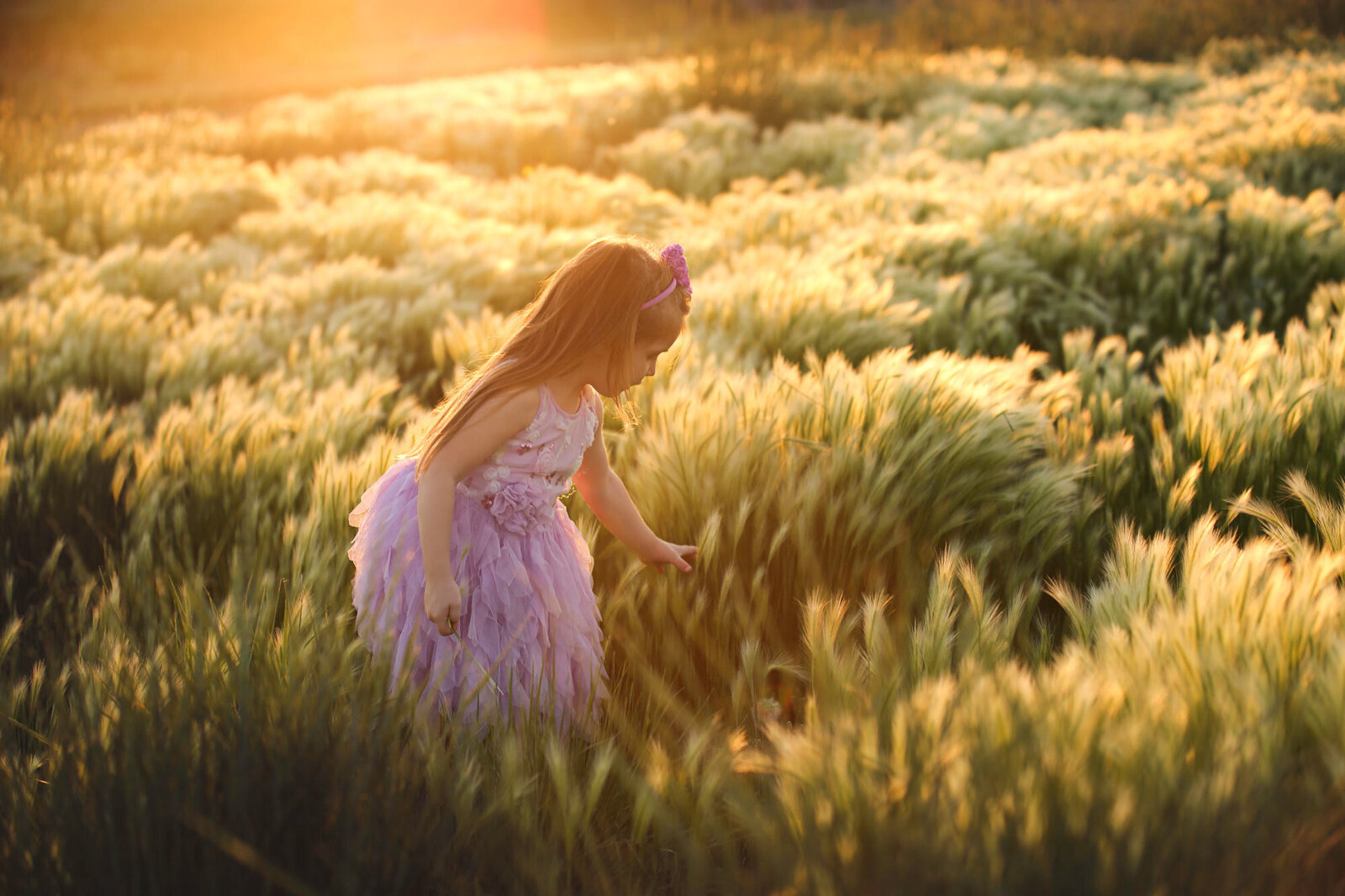 colorado-girl-golden-field-light-chaser-natural-light-goldern-hour-field-photographer-dreamy