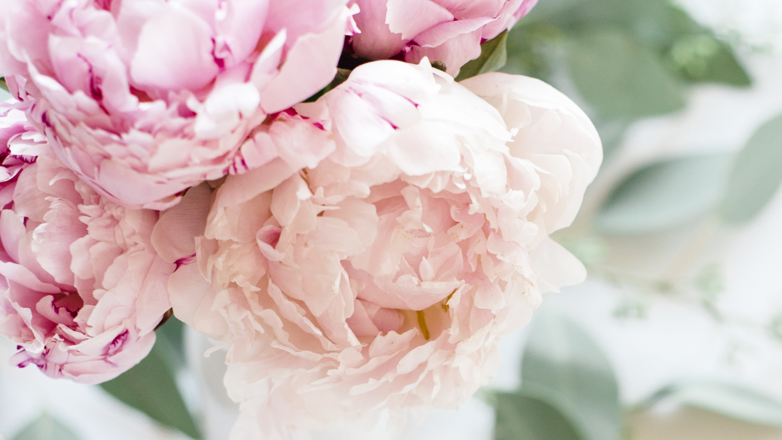 F0660717-1D3A-4581-A4AC-4F2126C51CD7