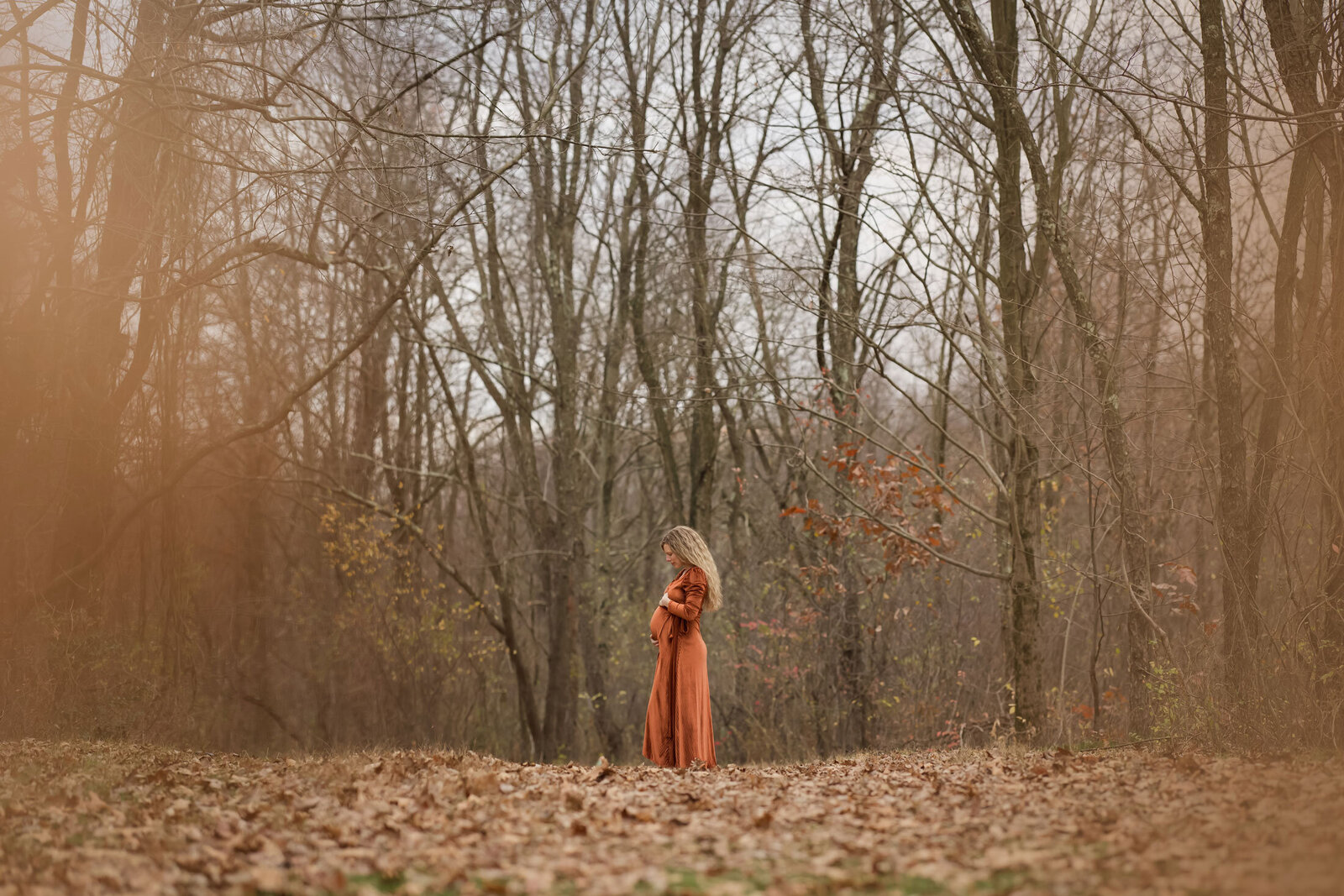 Pittsburgh Maternity Portrait Photographer 1