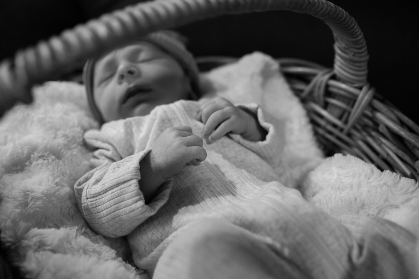 Newborn-189