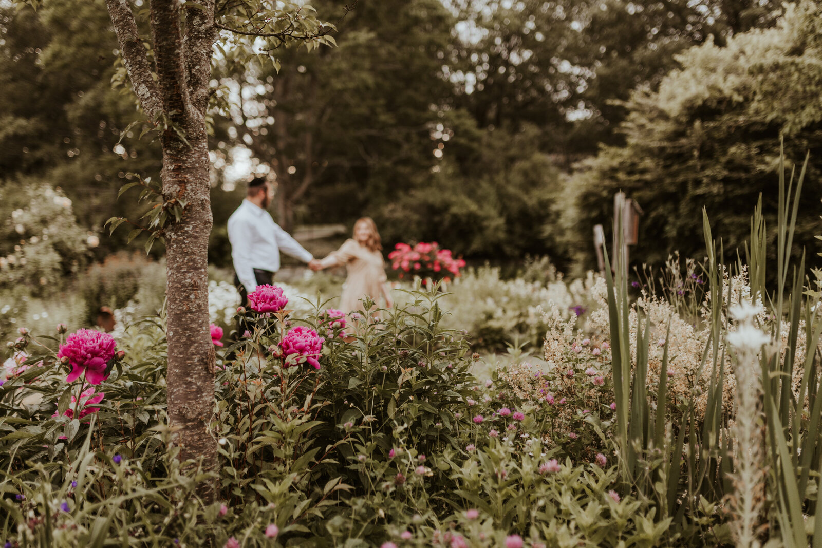 Romantic-Anniversary-Botanical-Gardens-Love-to-Lens-Photography-(139)