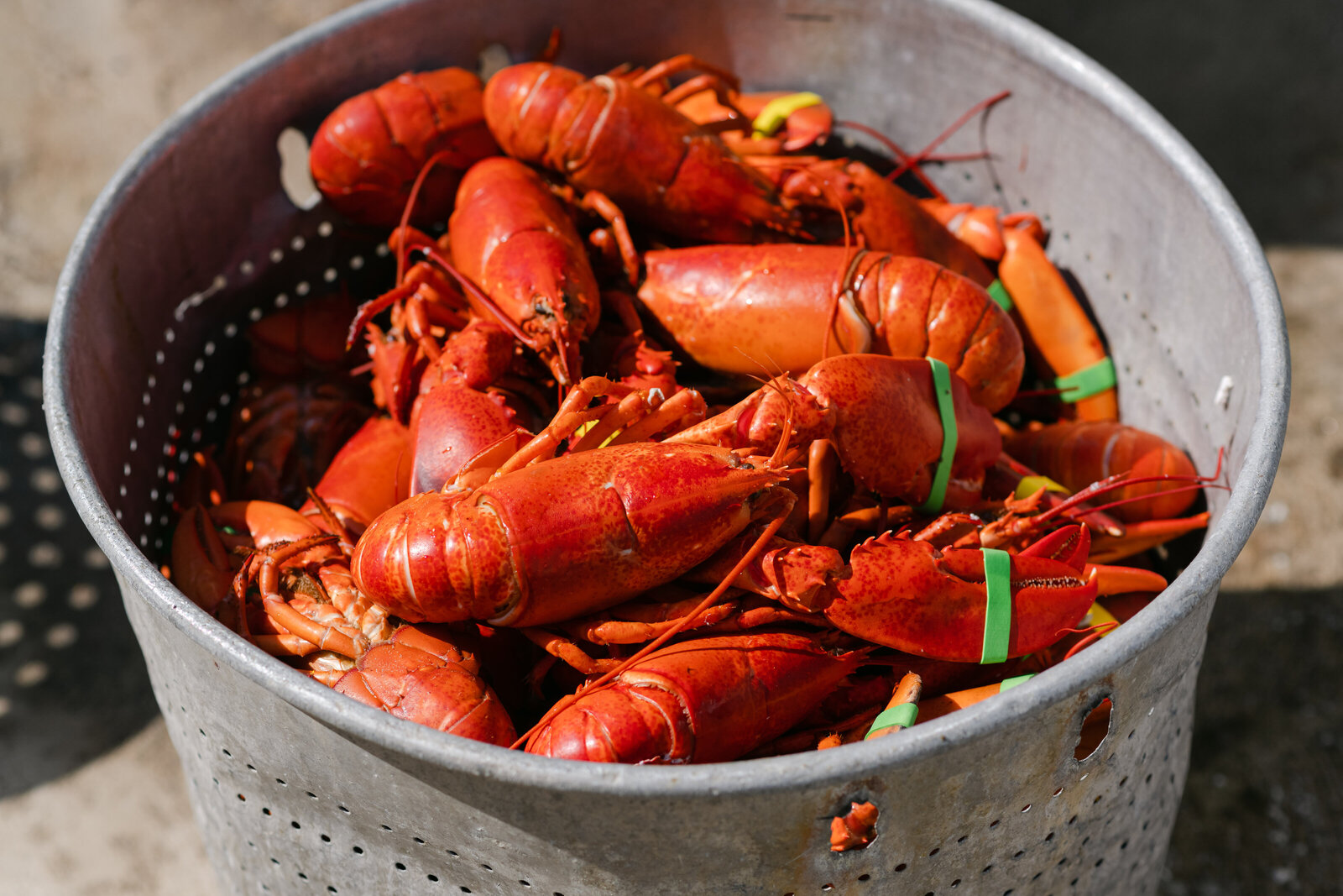 Maine Lobster - Cooked – Santa Barbara Fish Market