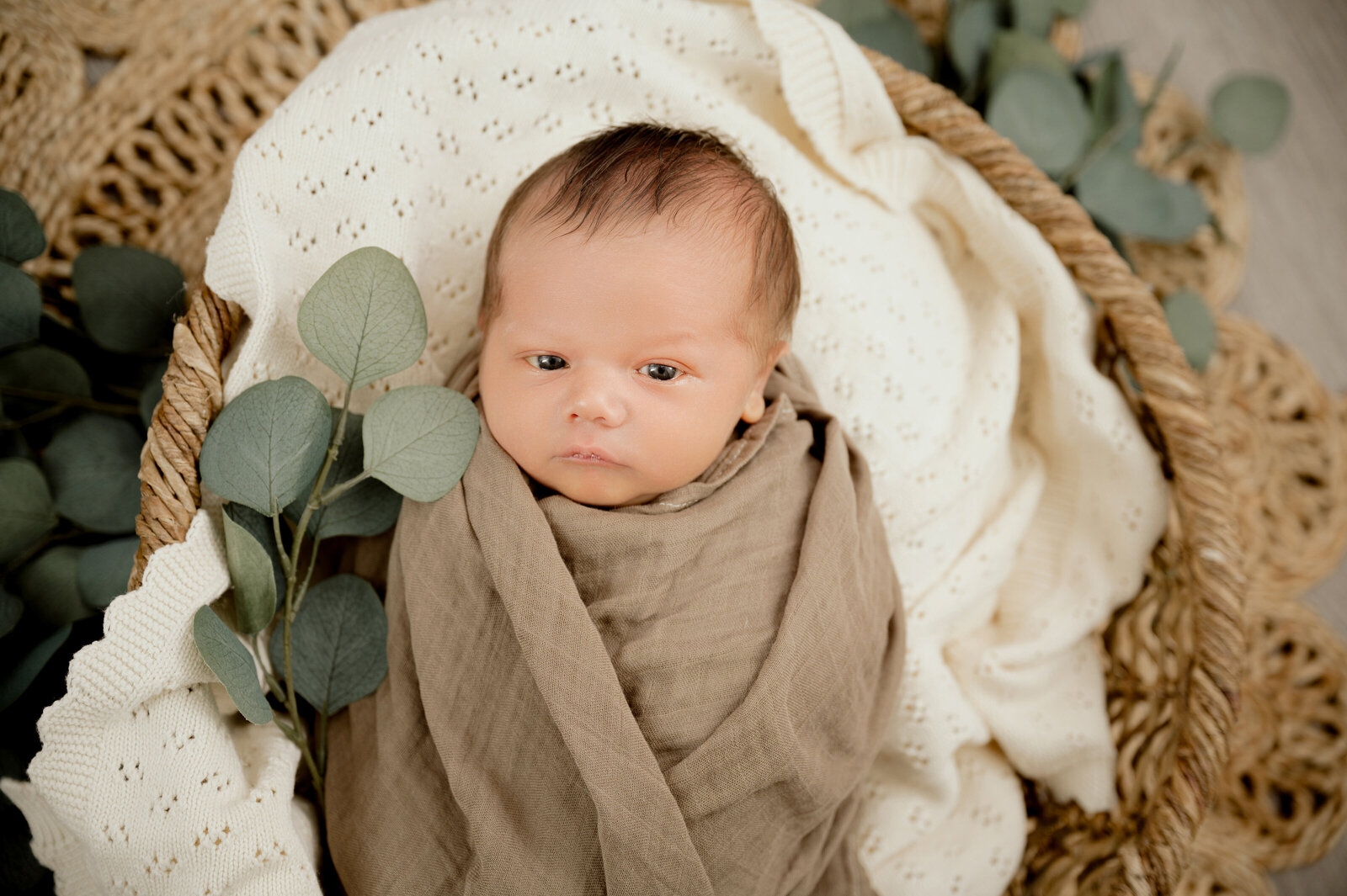 Minnesota Newborn and Family Photographer -  Nicole Hollenkamp - Central Minnesota DSC_0122