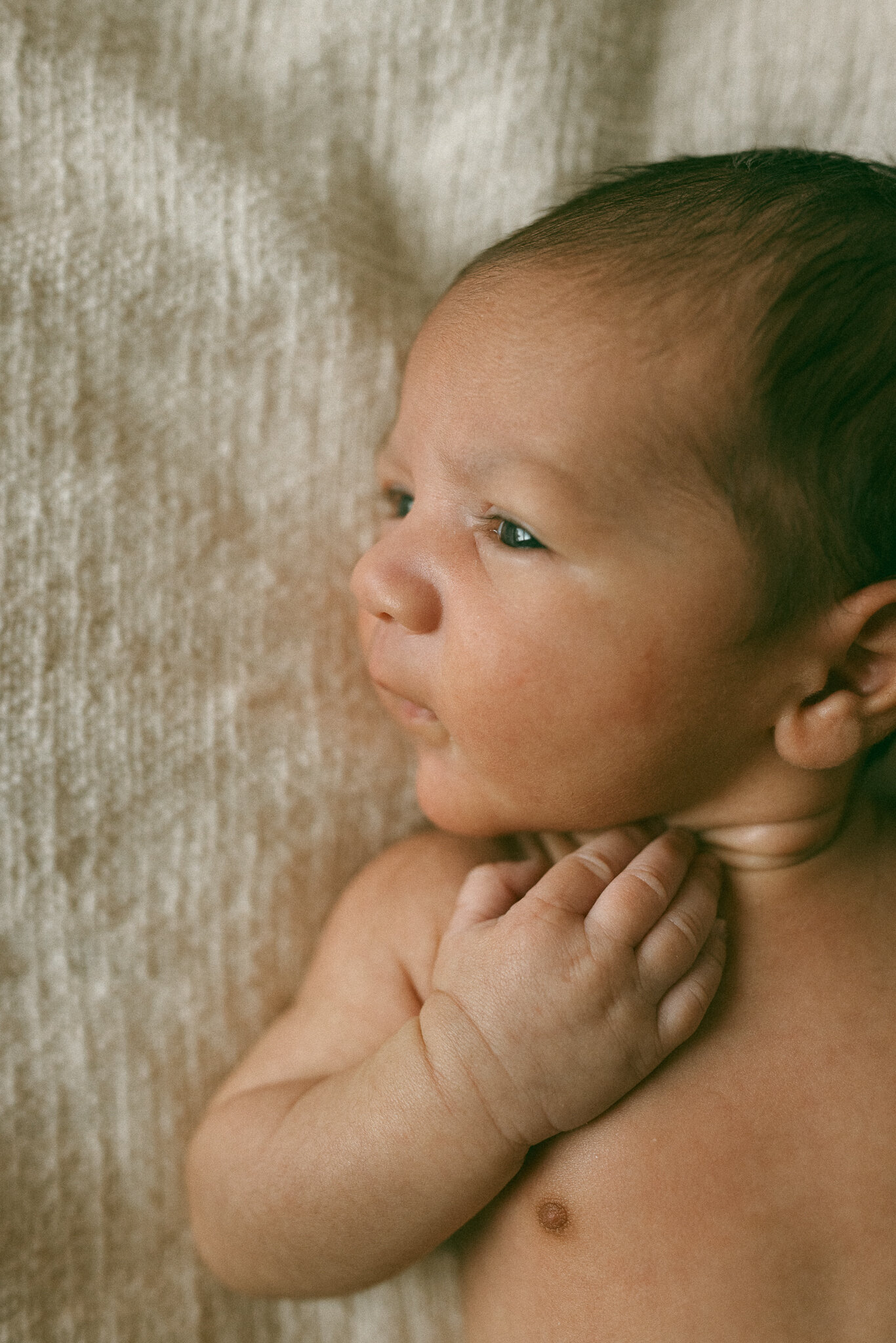 KELLIE OVERHOLT PHOTOGRAPHY-200