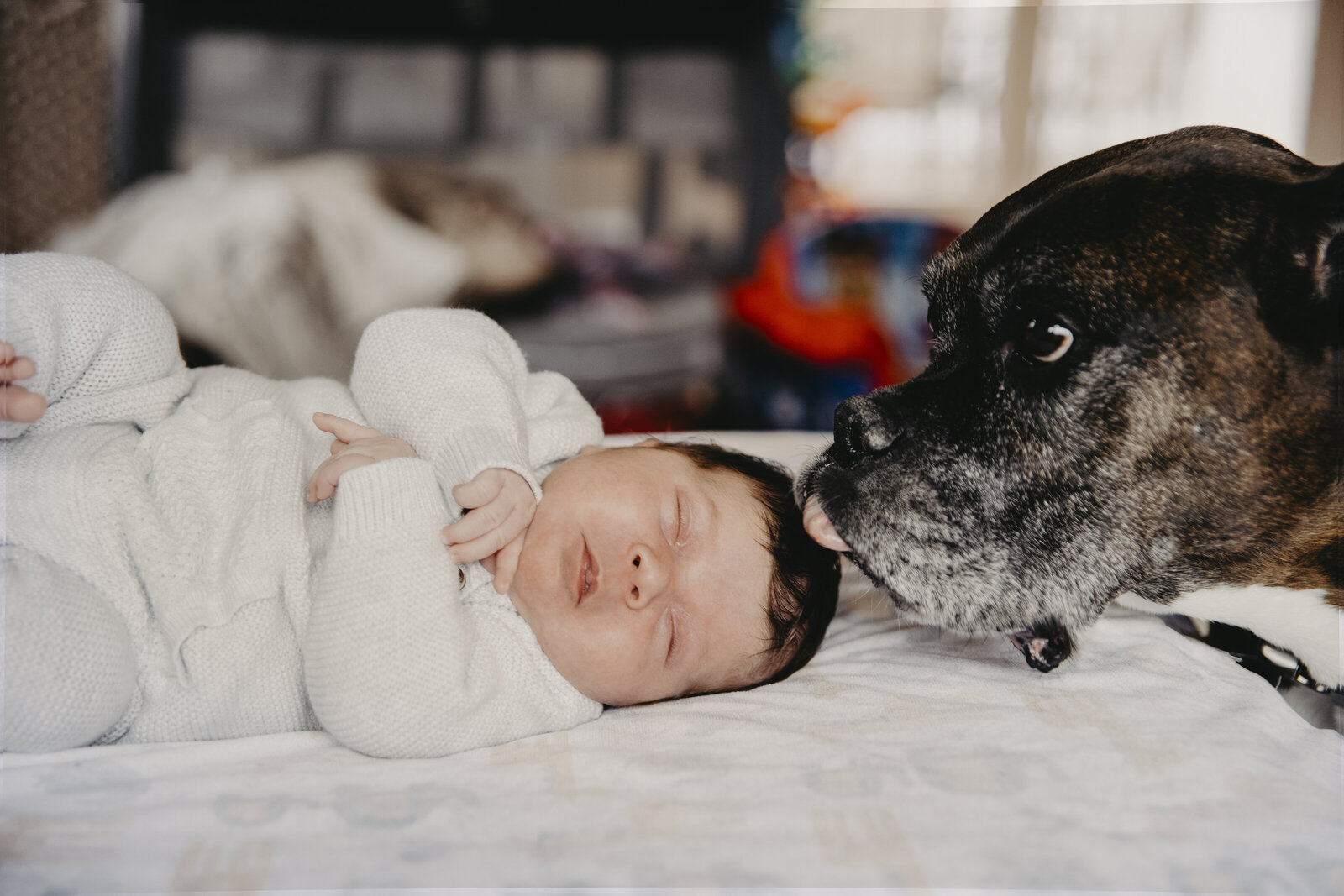 Boston_Lifestyle_Newborn_Photographer_.IMG_2431