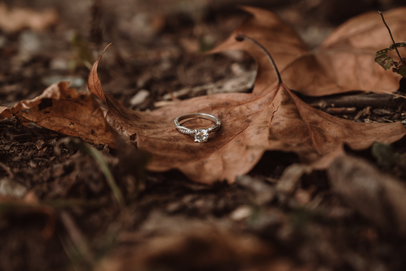 kansas city missouri couples and engagement photographer, line creek trail
