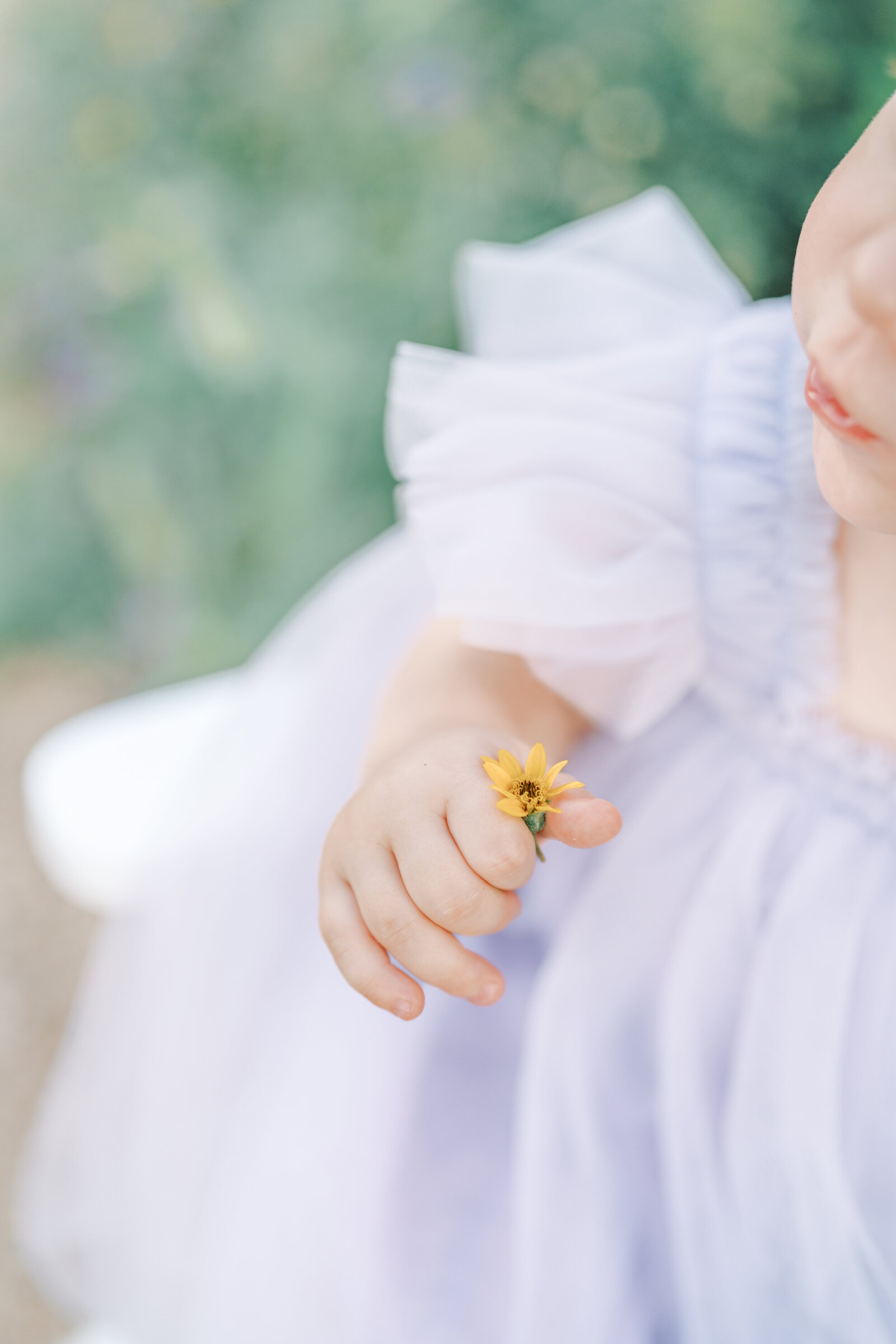 San Antonio Family Photographer