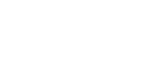 Queensland-Government-v1_500x250