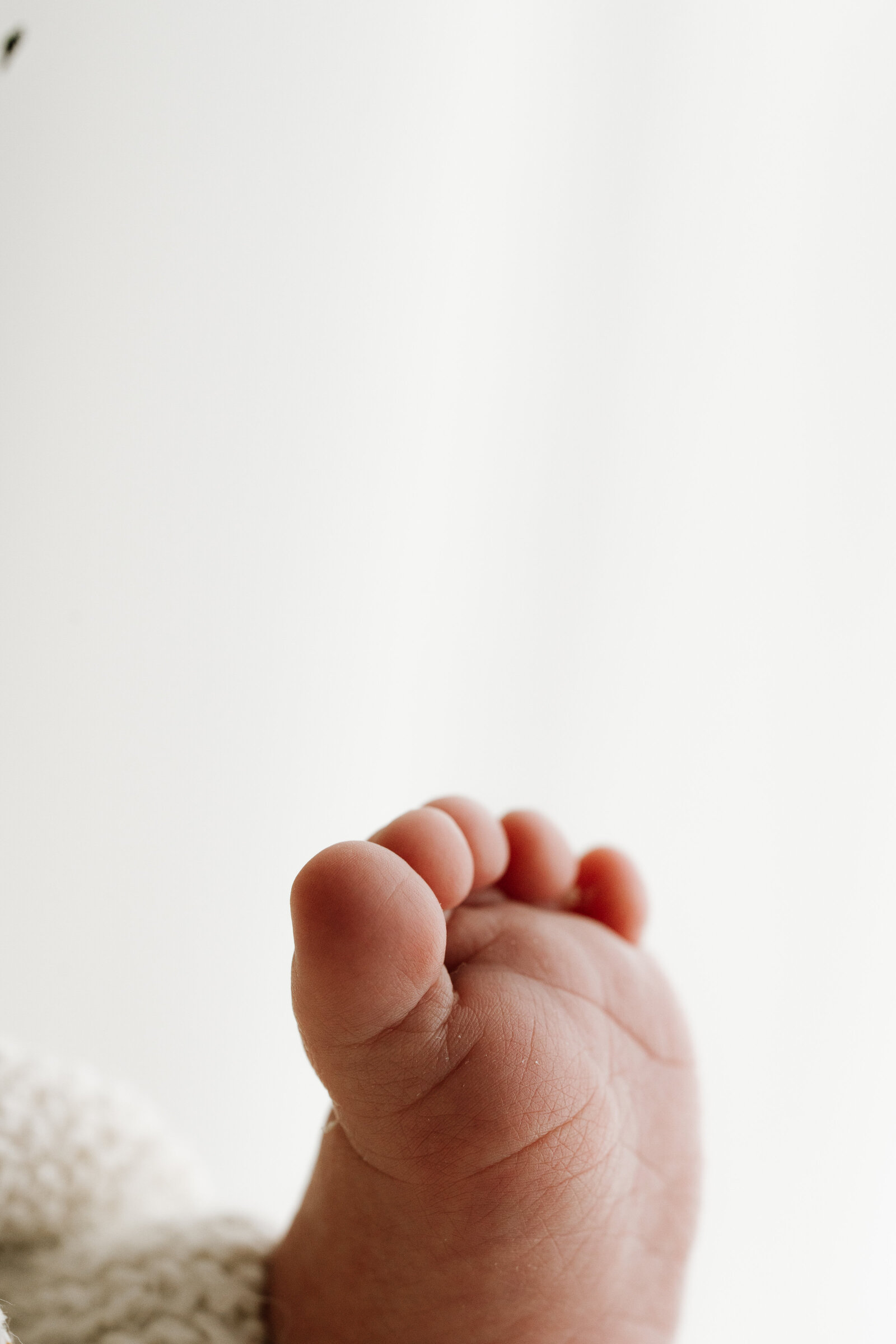 Studio Newborn Photography Bunbury