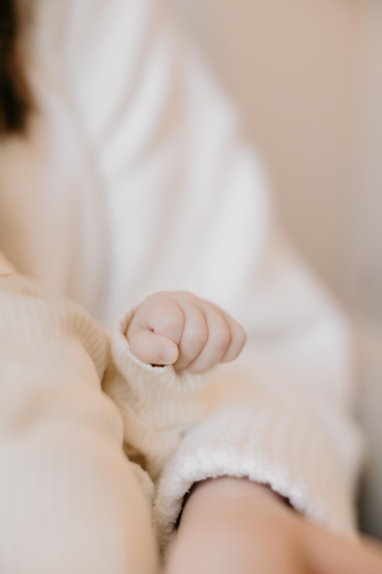 dhollyphoto_tripp (91 of 128)