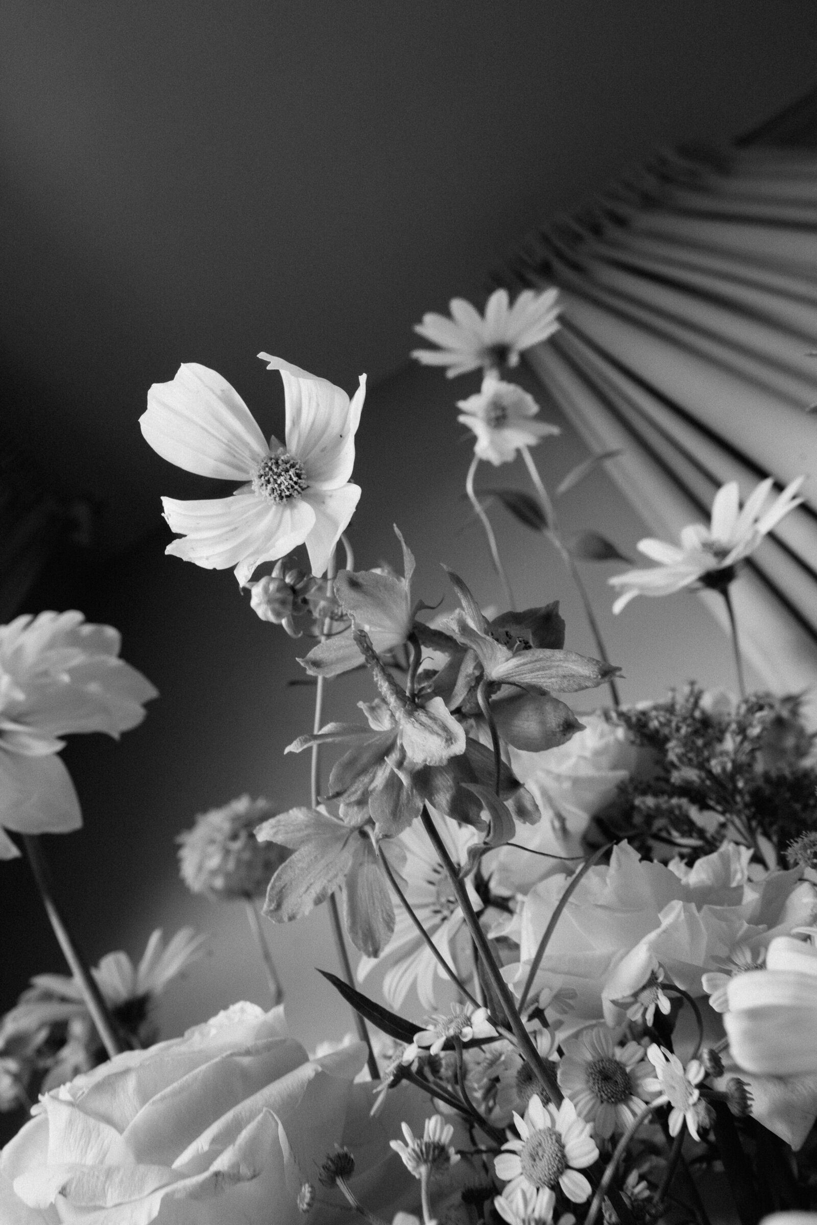 DSC_4188