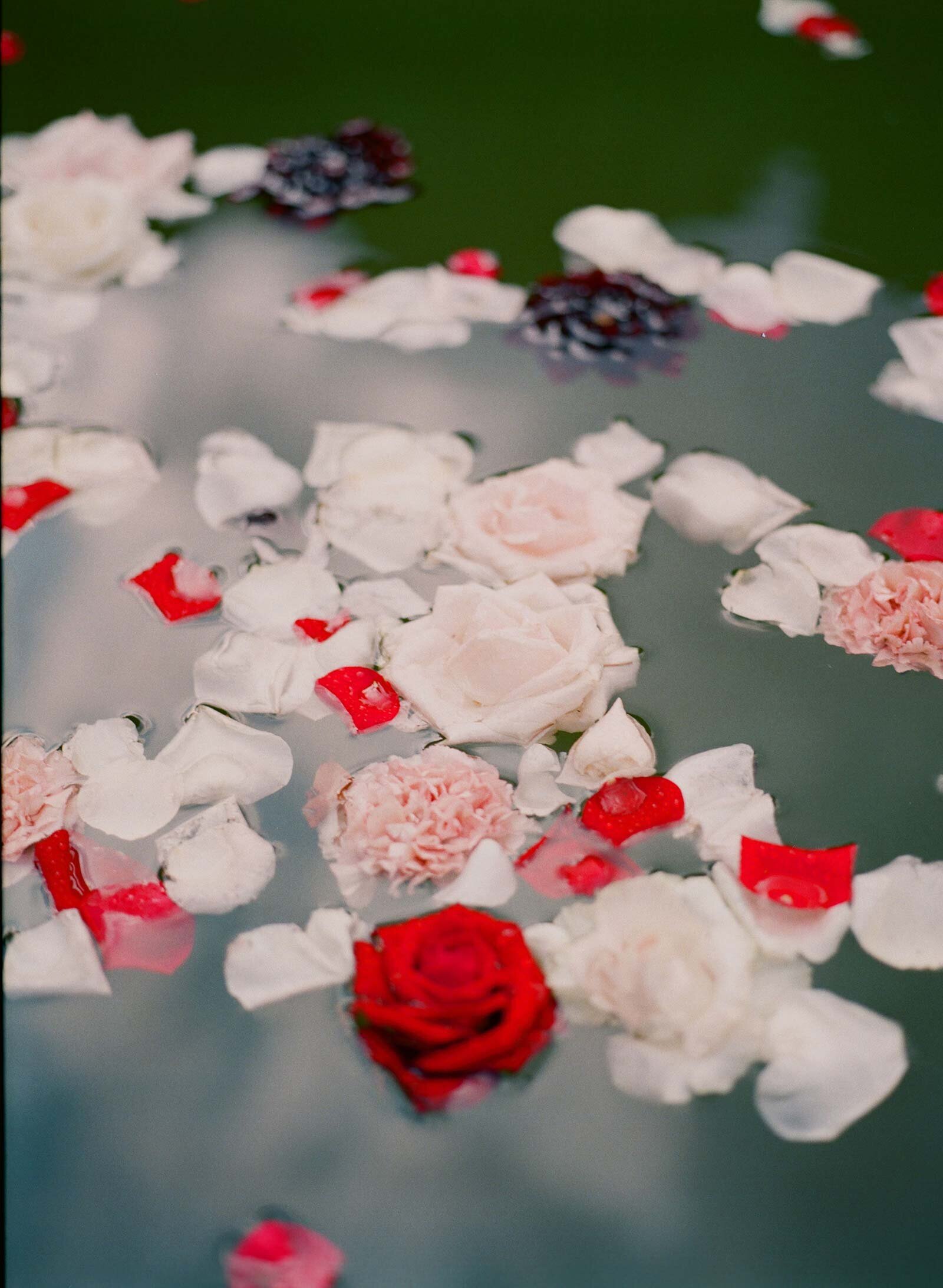 019wedding_lafoce_tuscany