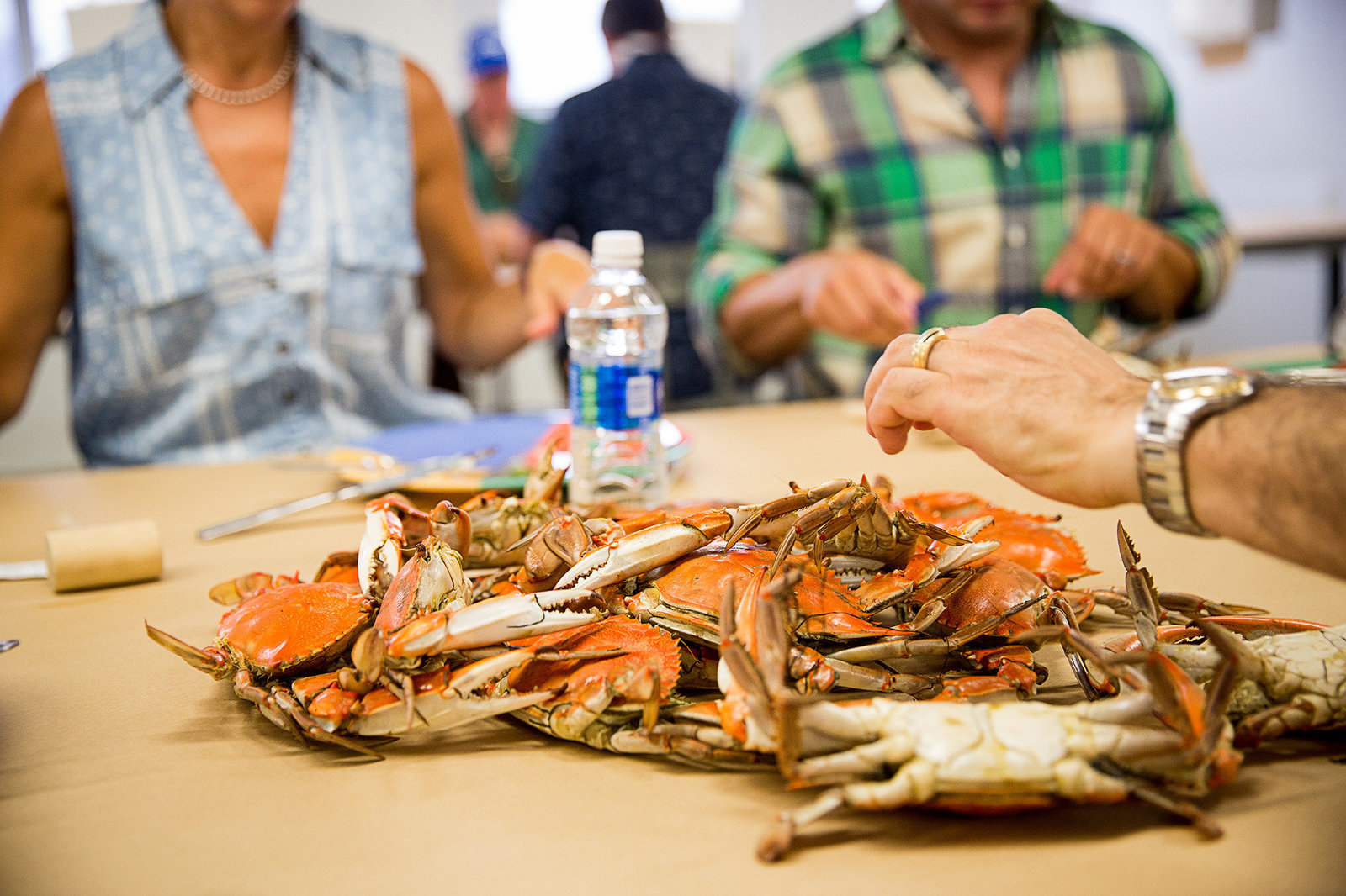 Crab Feasts Blackwater Adventures Chesapeake Bay