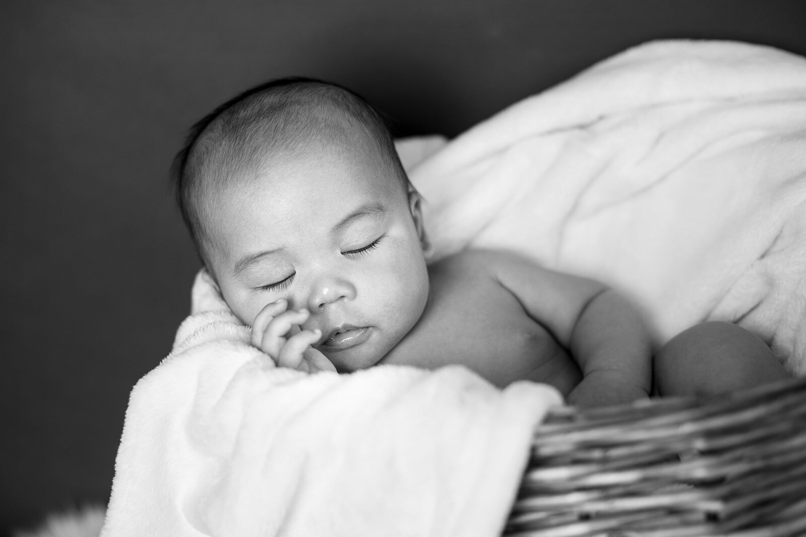 31-dutchess-hudson-valley-newborn-baby-portrait-photographer