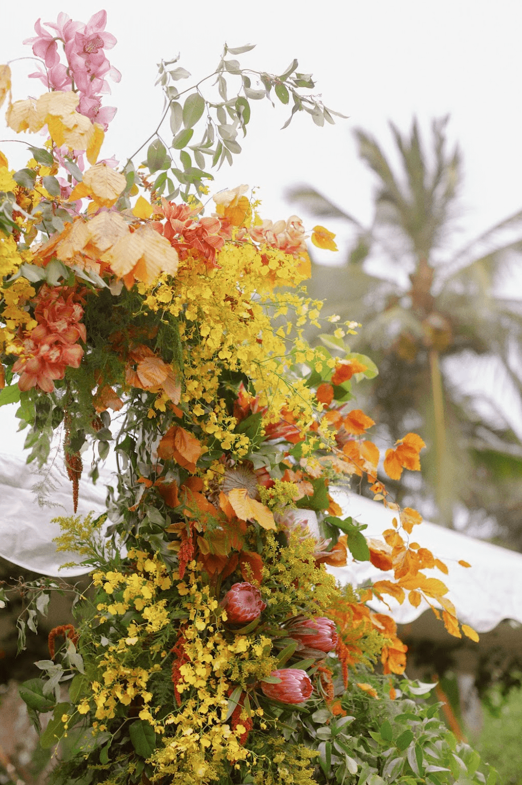 Screenshot 2025-11-25 at 12.06.01 PM