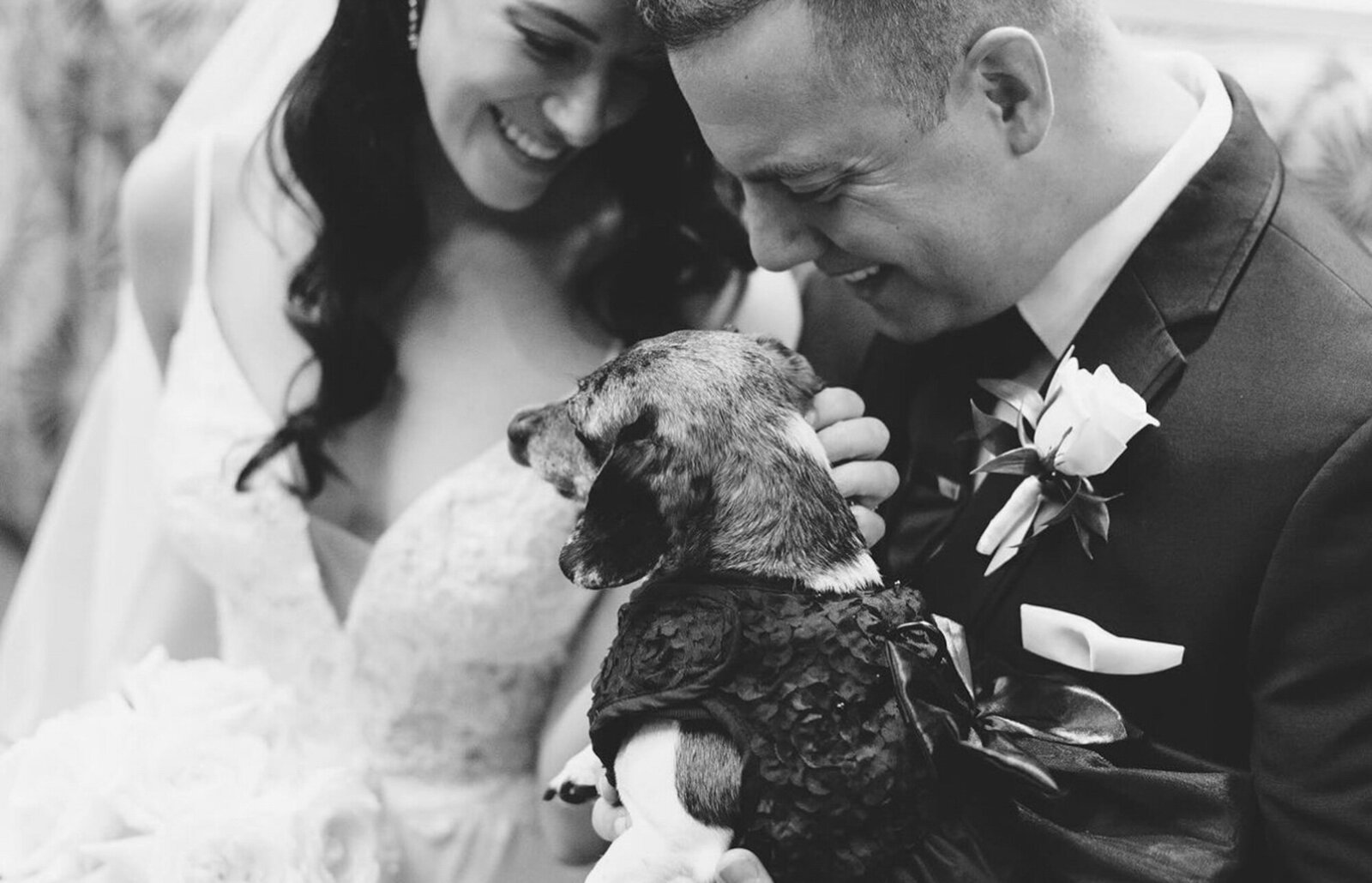black and white photo of a bride and groom smiling while holding a small dog dressed in a cute outfit