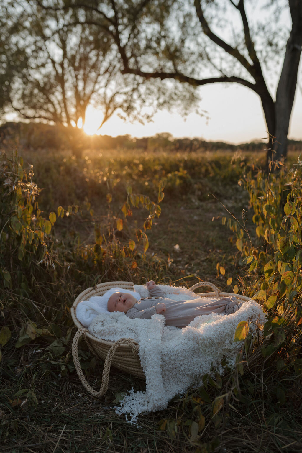 AbigailElizabethPhoto-5850