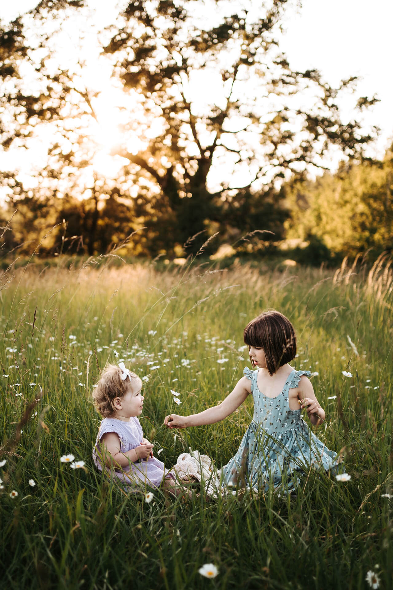 Big sister is giving her toddler sister a daisy in a daisy field