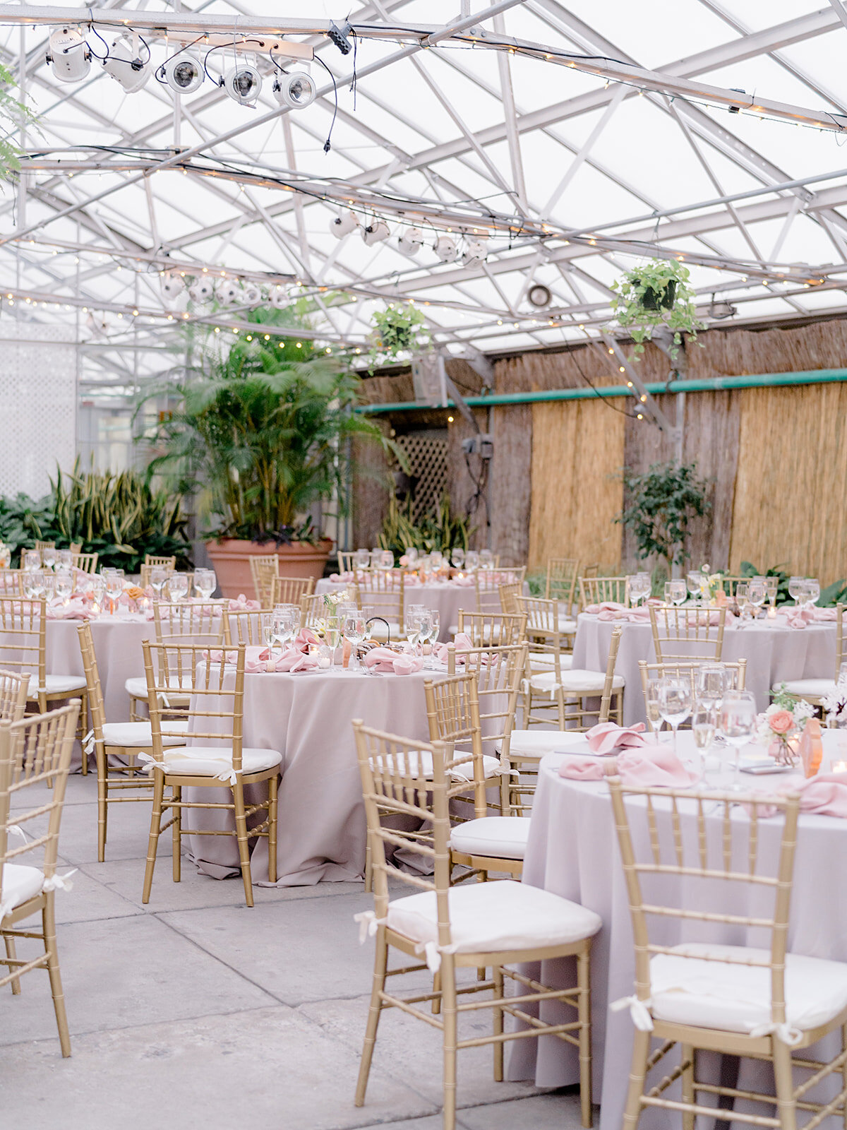 Melissa and Keith - Fairmount Park Horticulture Center - Magi Fisher - 748