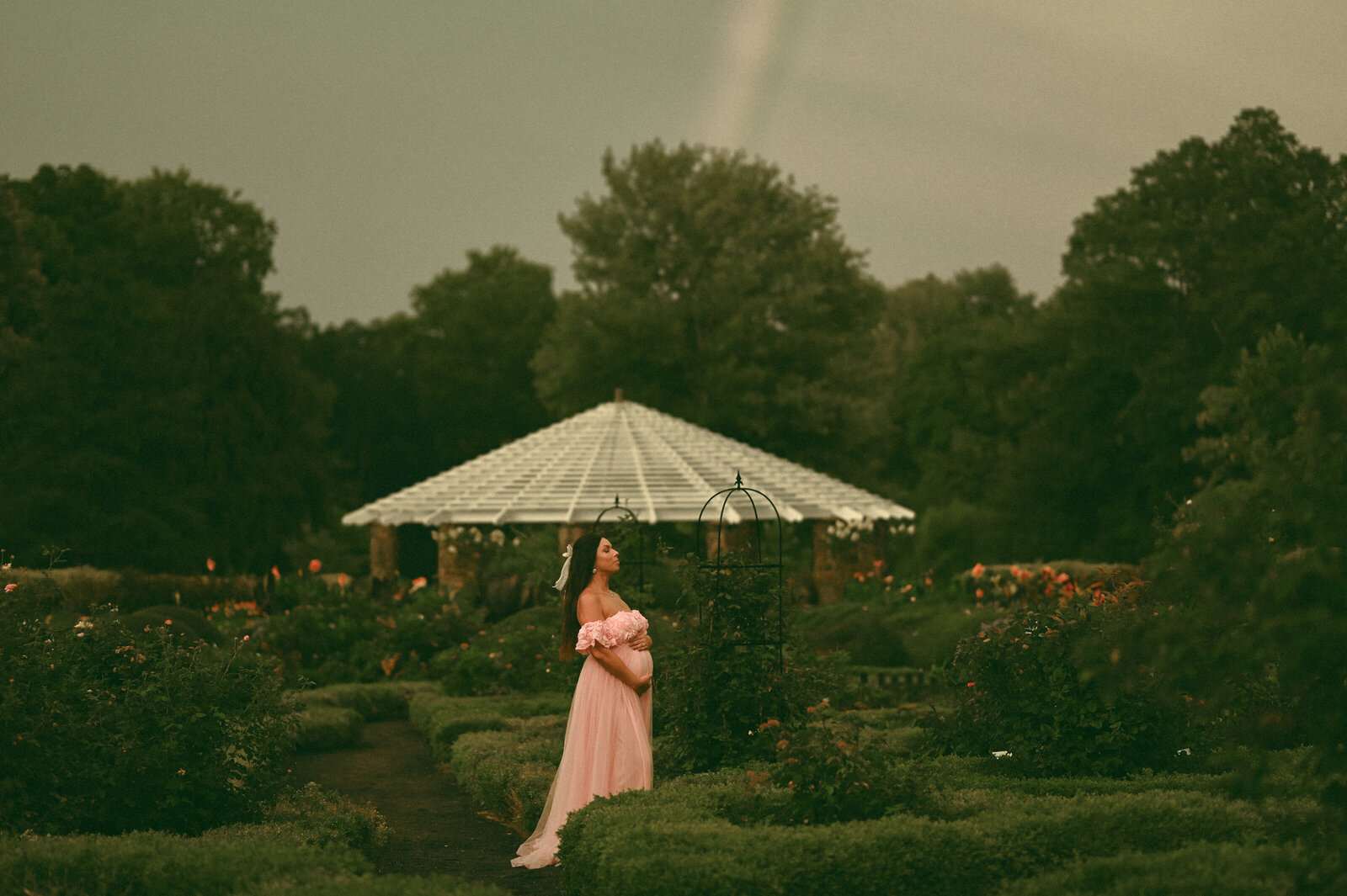 WaitingforPenelope (219)