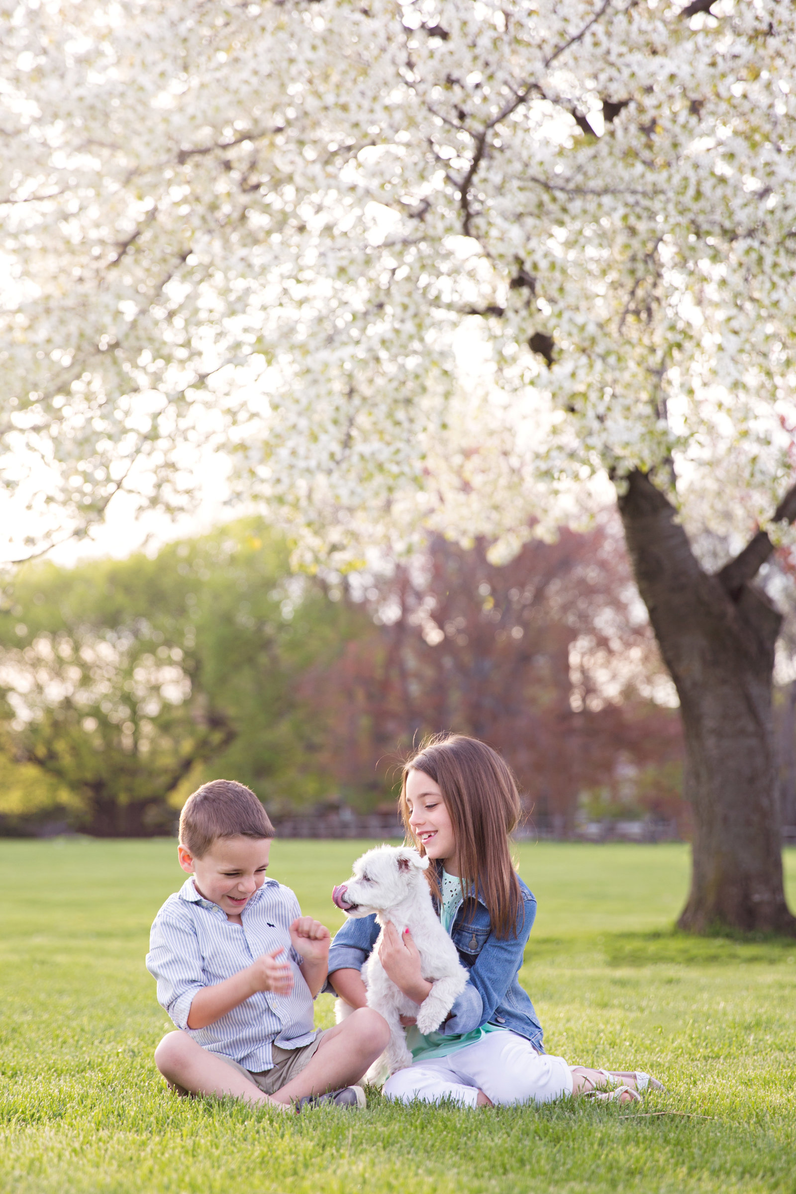 kids with dog under blossom tree
