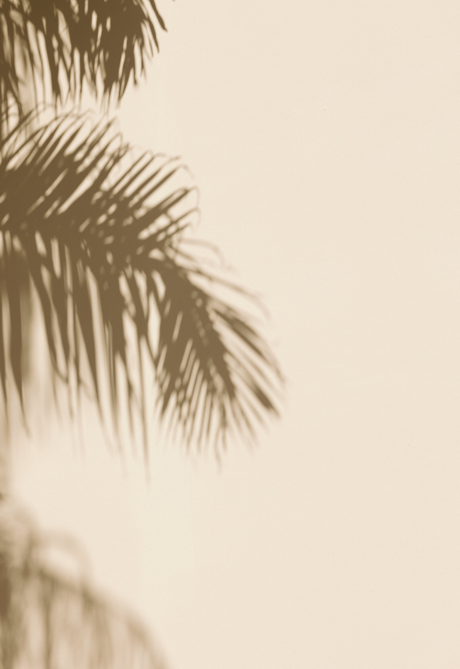 details-16