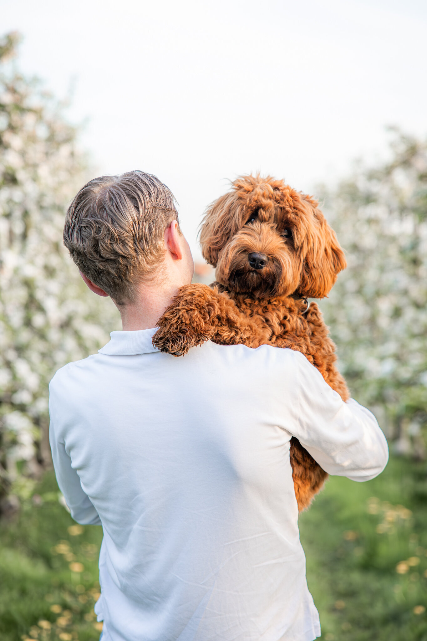 Fotoshoot met je hond Den Bosch
