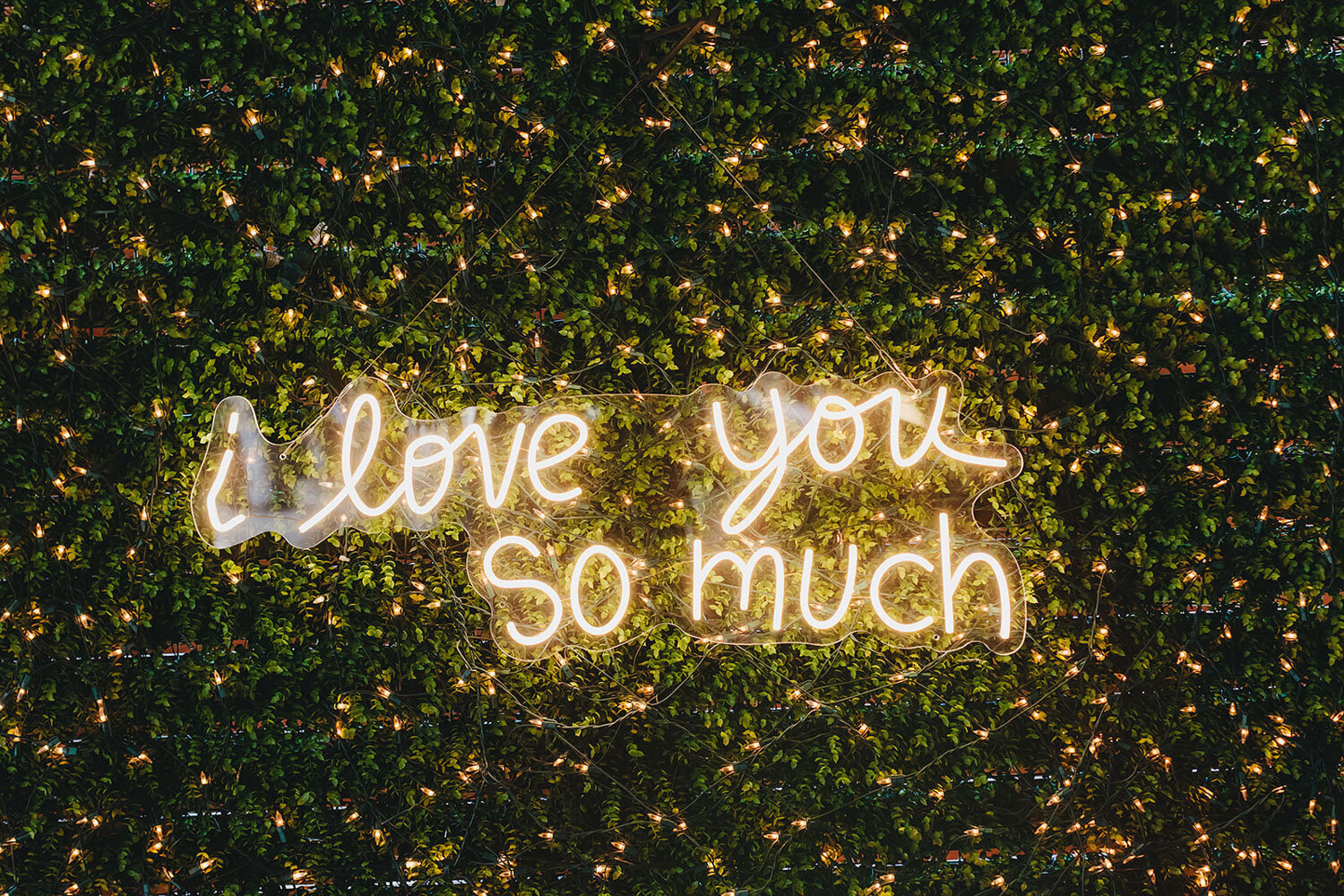 Carina-and-Noah-austin-texas-wedding-venue-wedding-september-2024-622