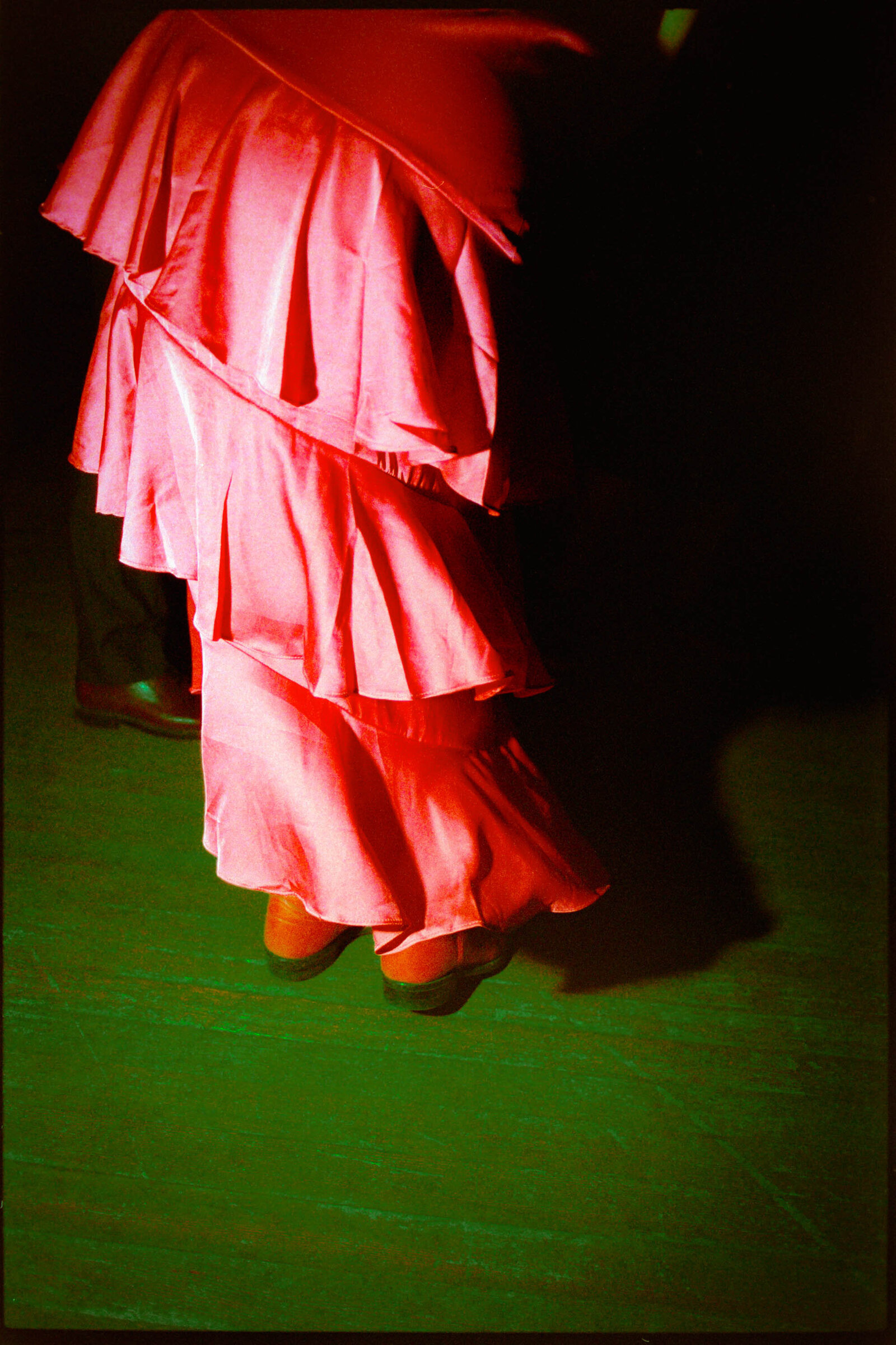 Jess-Buckley-Photo-FILM-Wedding-Coast-Lodge-70