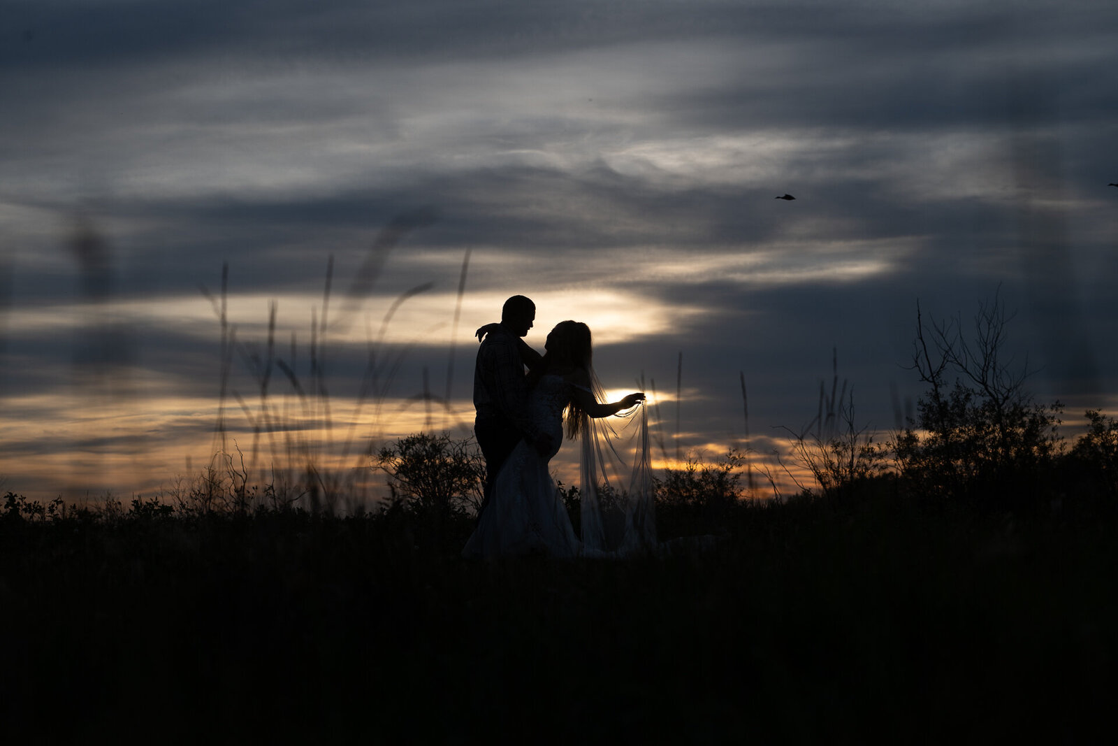Carla-Lehman-Photography-Tofield-Alberta-Wedding-Photographer-2550