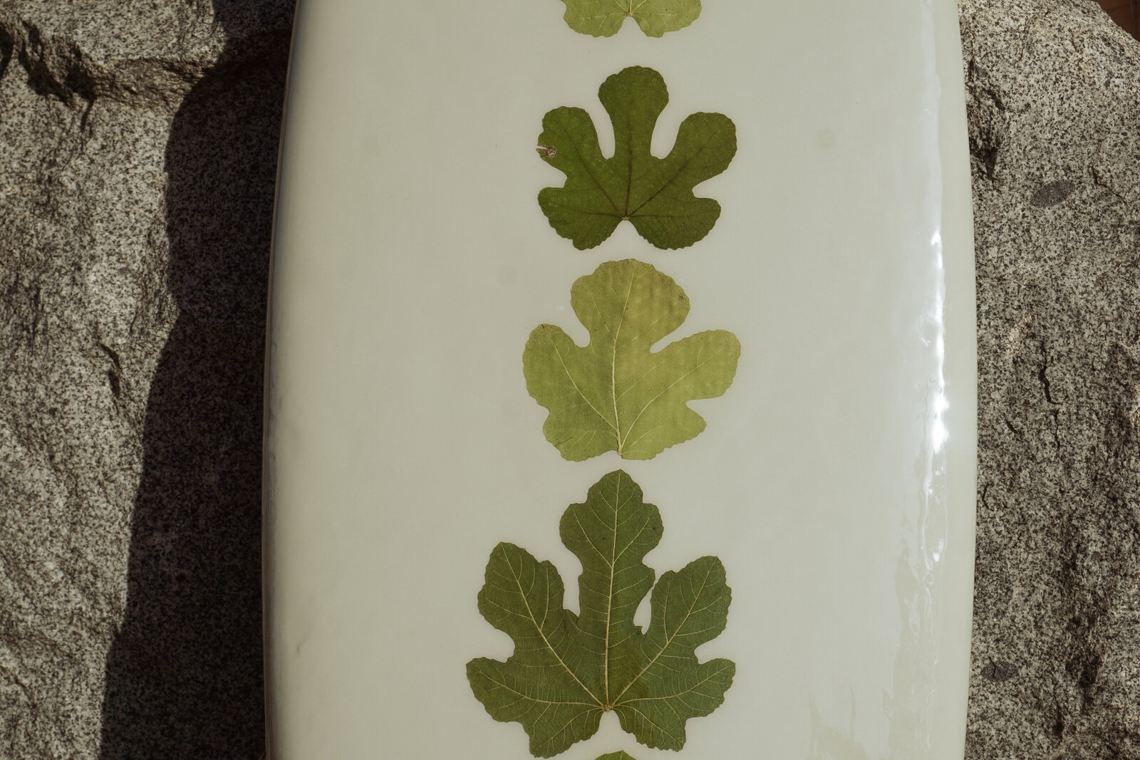 Floral Surfboards  2024-12