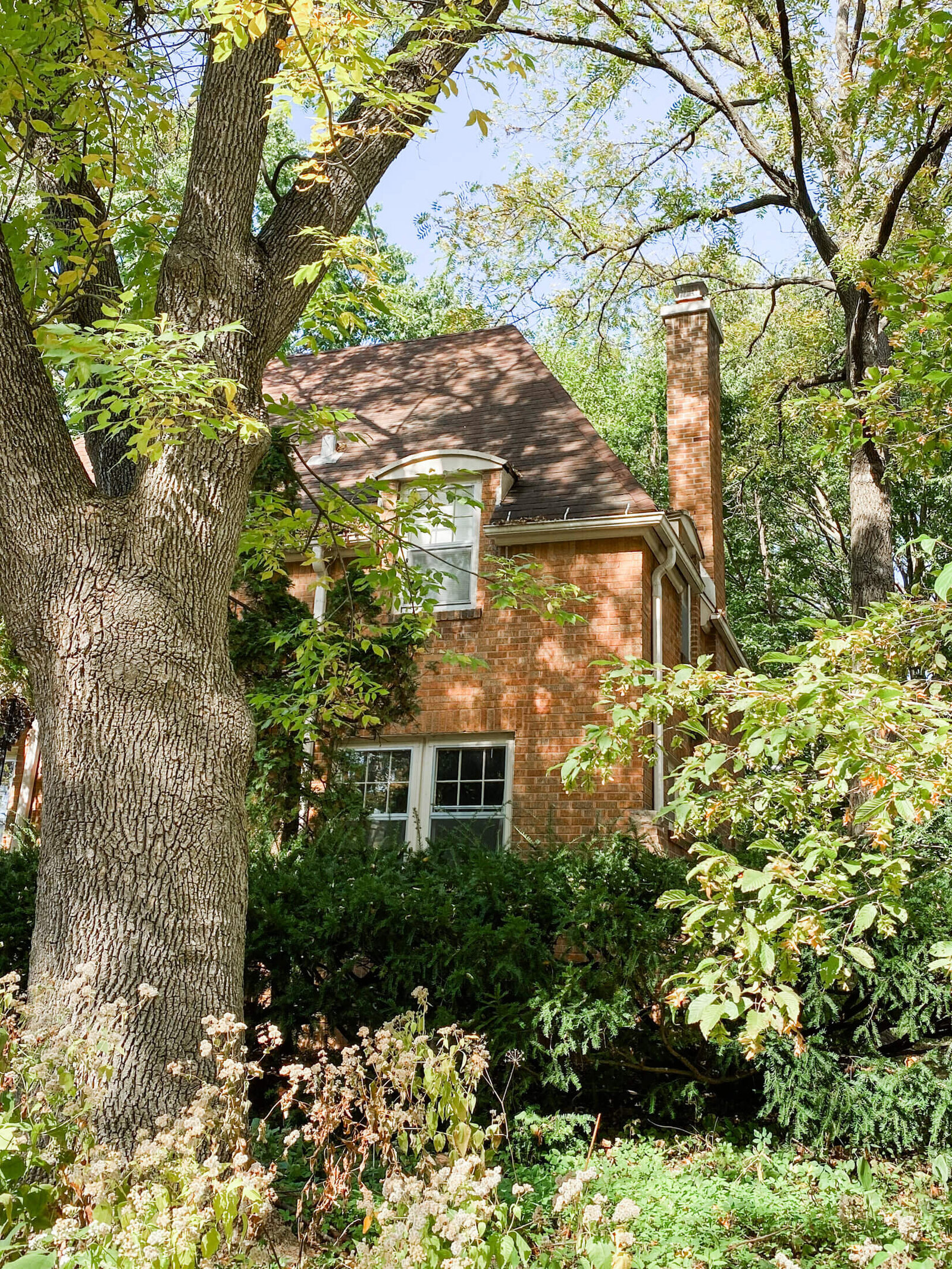 Vilas Neighborhood-8